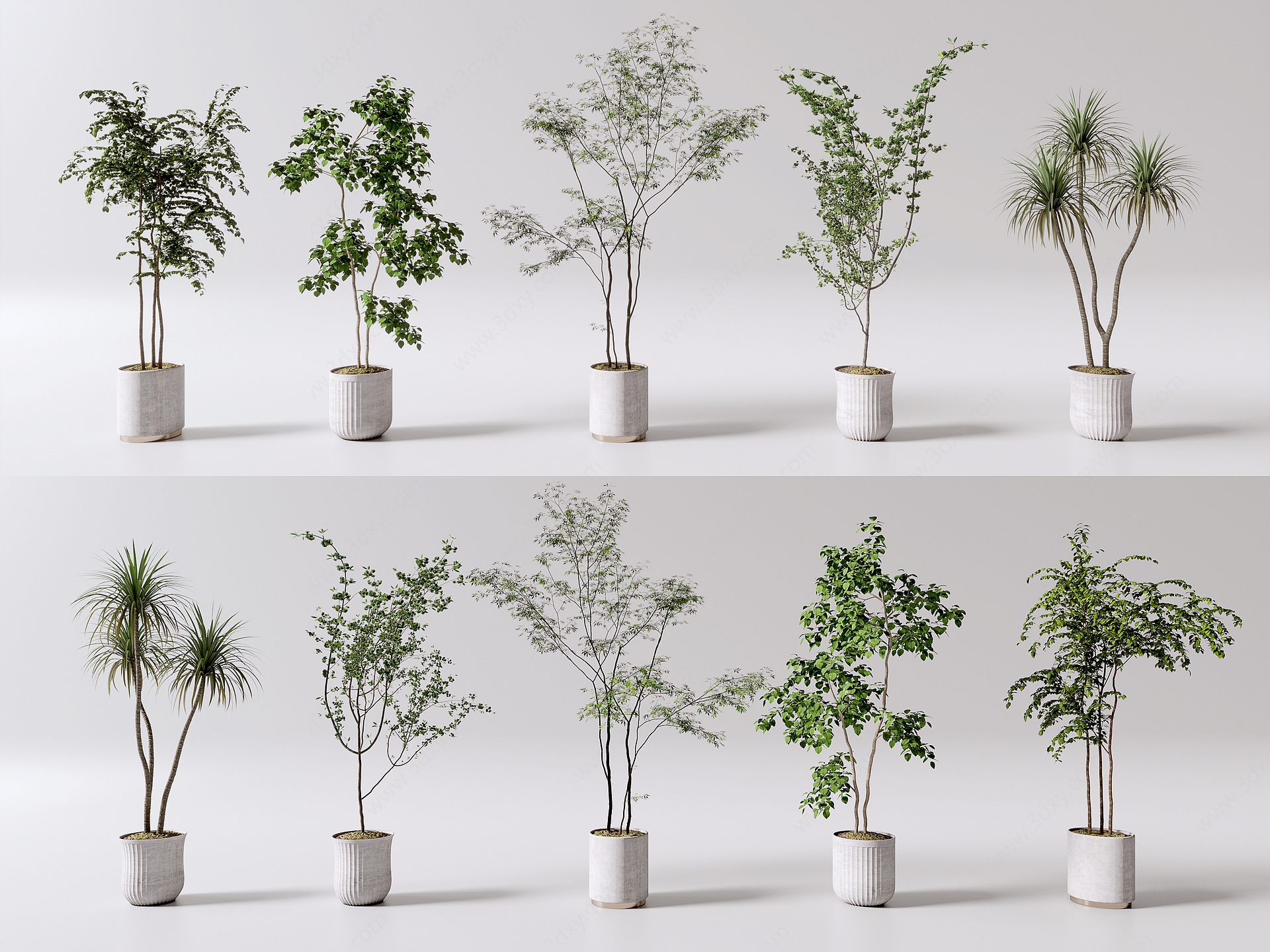 花盆盆栽绿植室内植物3D模型