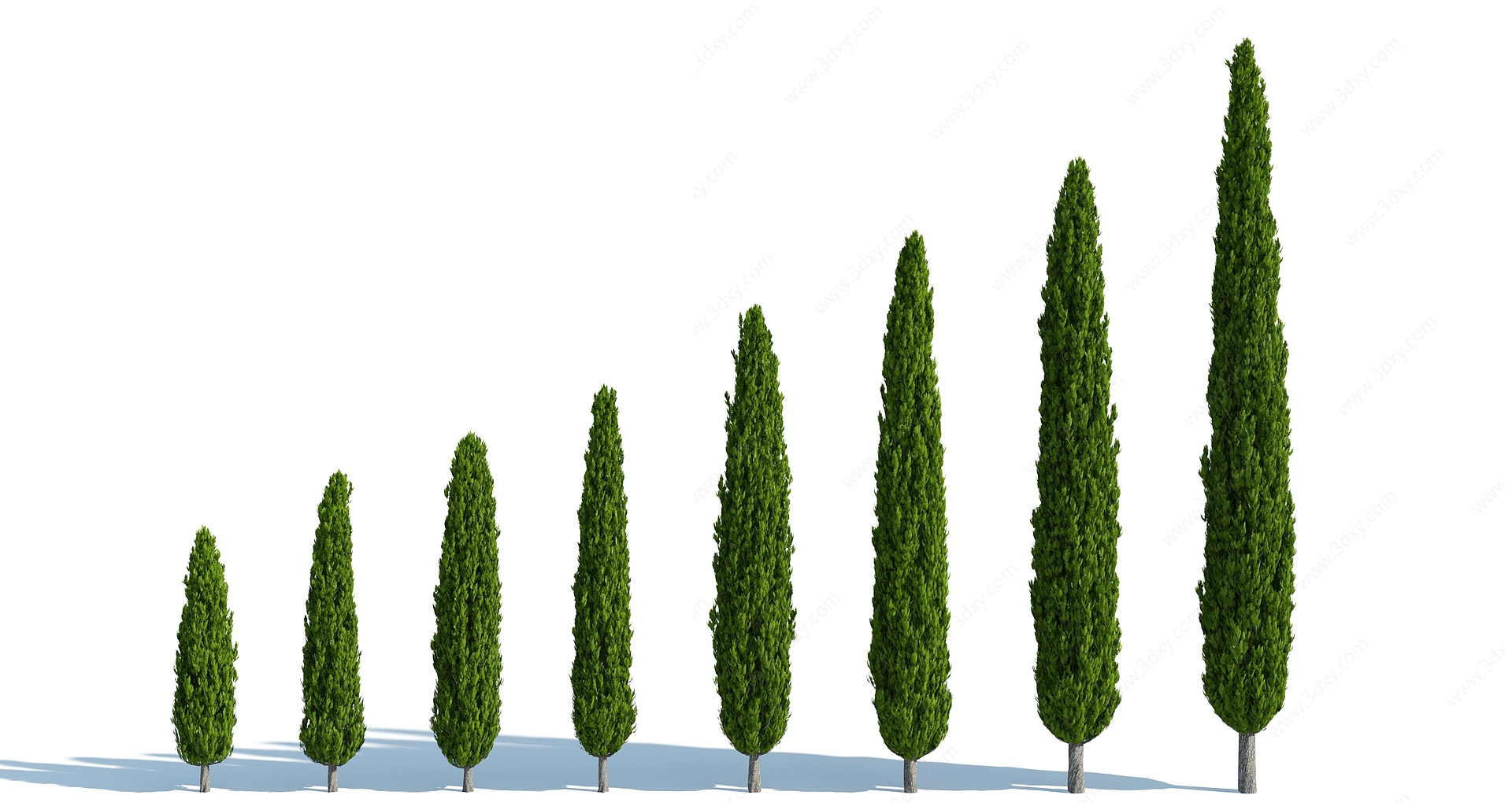 现代灌木花园植物园林植物3D模型