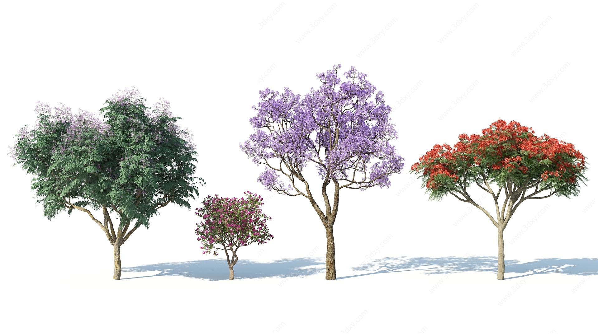 现代树木花树红花树3D模型
