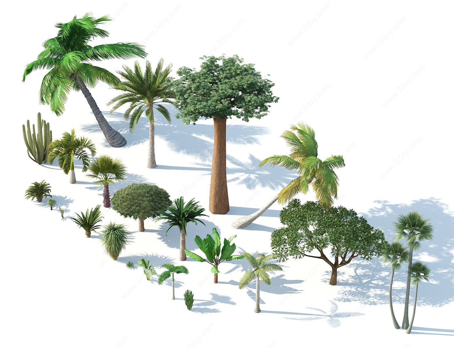 树木热带树木热带植物3D模型