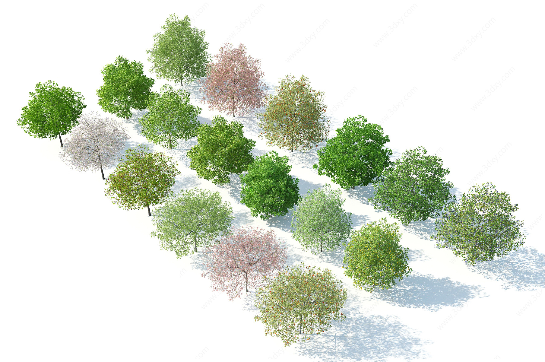 树木树木组合果树3D模型