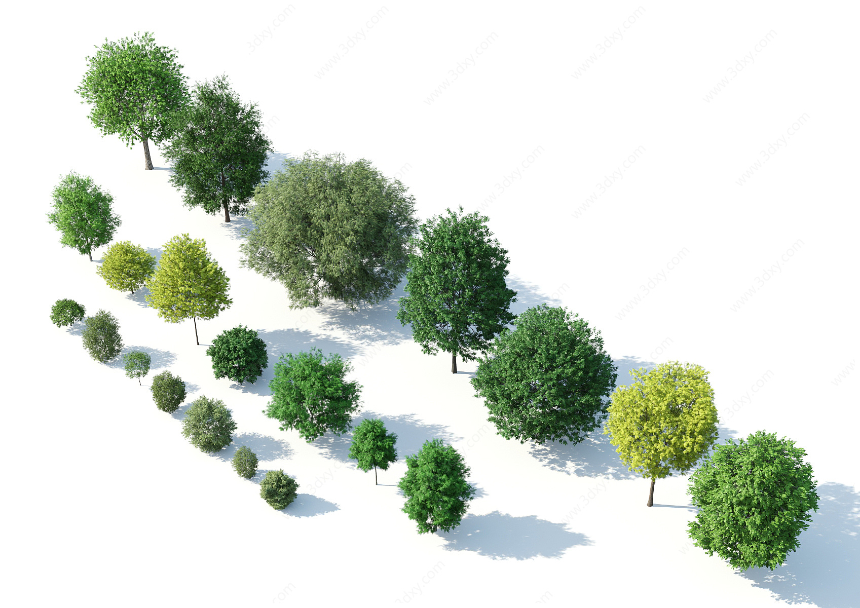 树木树木组合园林景观树3D模型