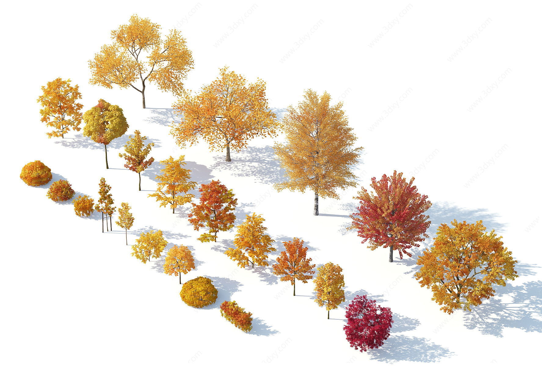 树木树木组合秋季树木3D模型