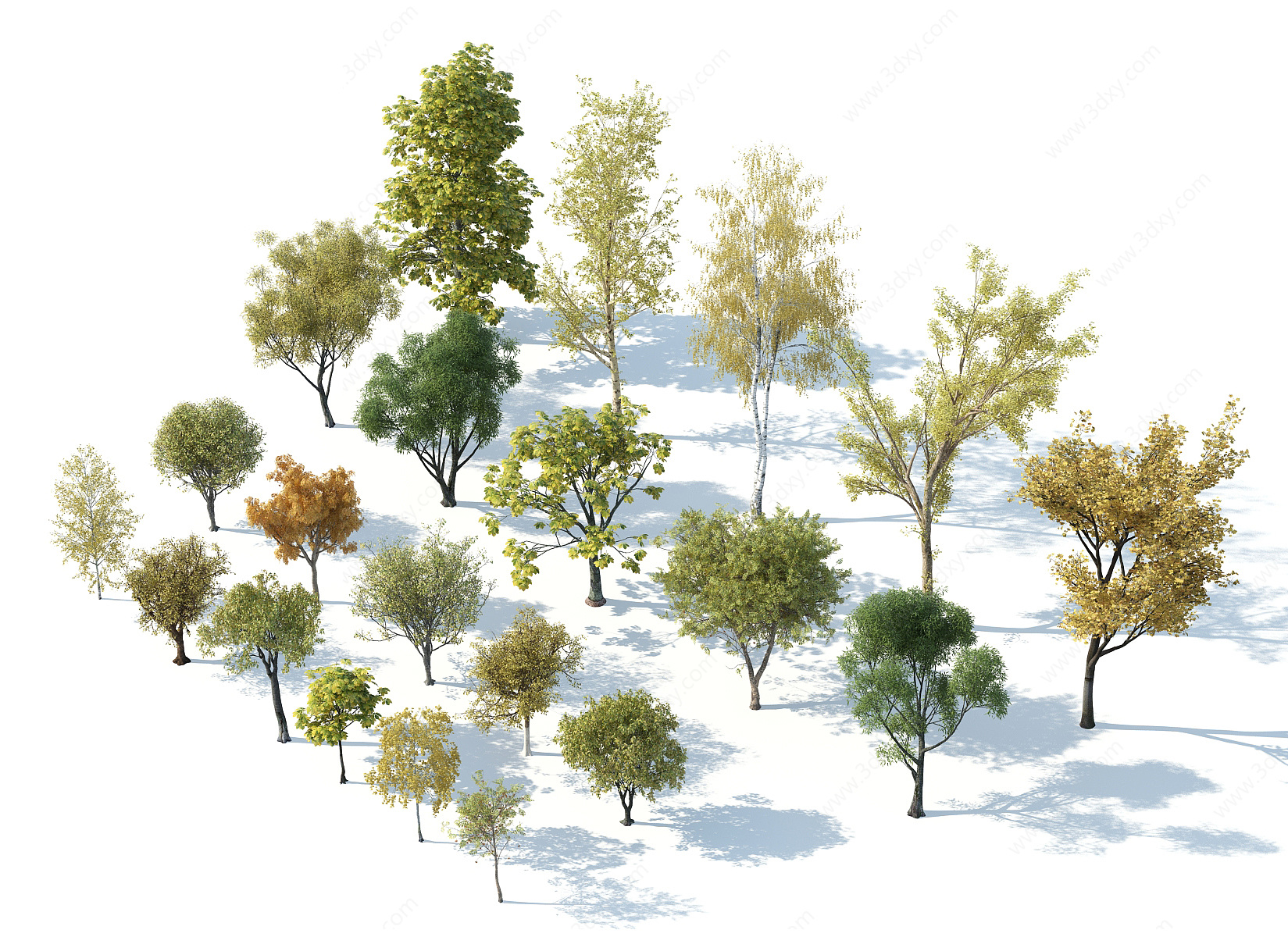 秋季树木银杏树枫树黄叶树3D模型