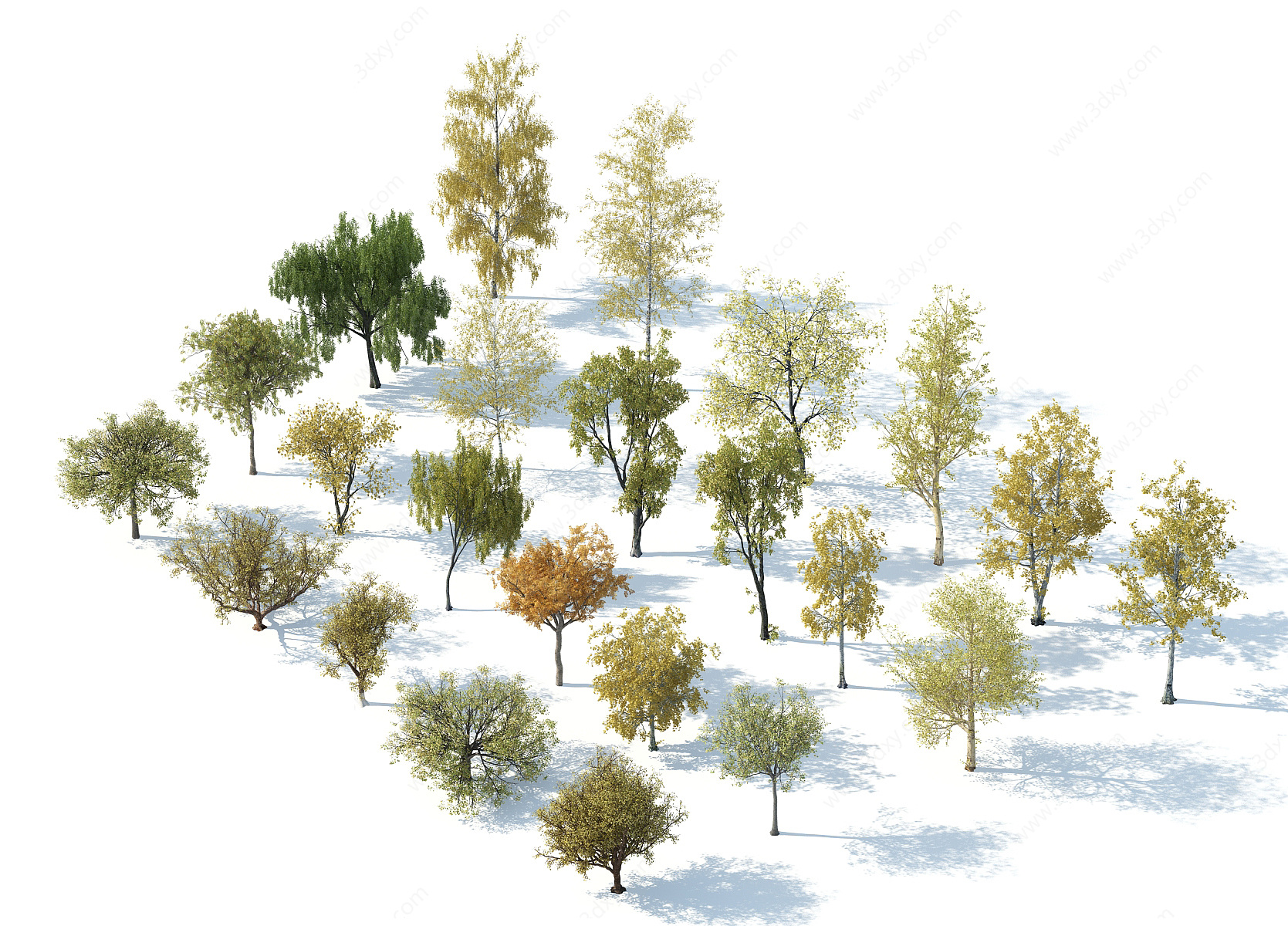 树木树木组合秋季树木3D模型