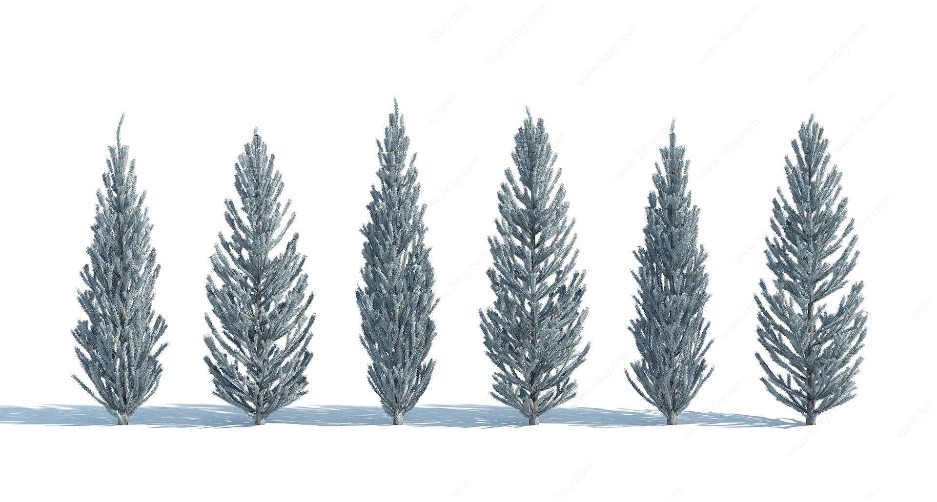 树木树木组合杉树3D模型