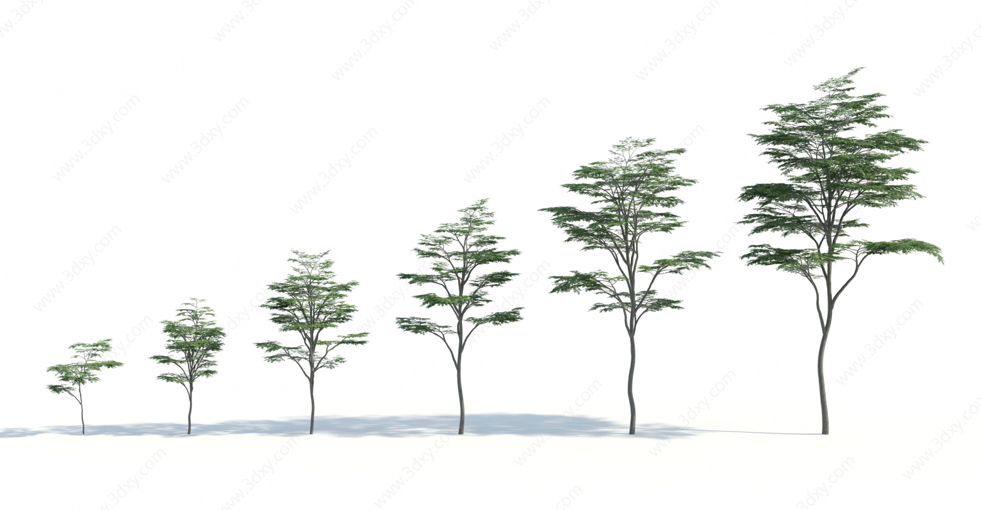 树木树木组合园林景观树3D模型