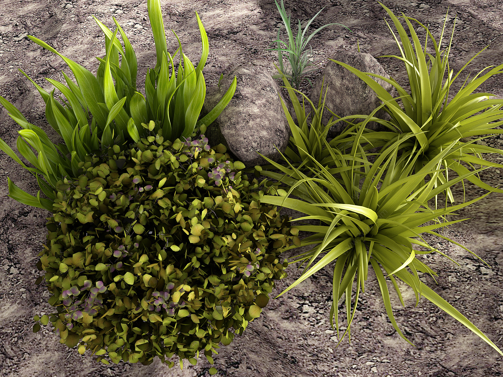 现代小草土壤3D模型