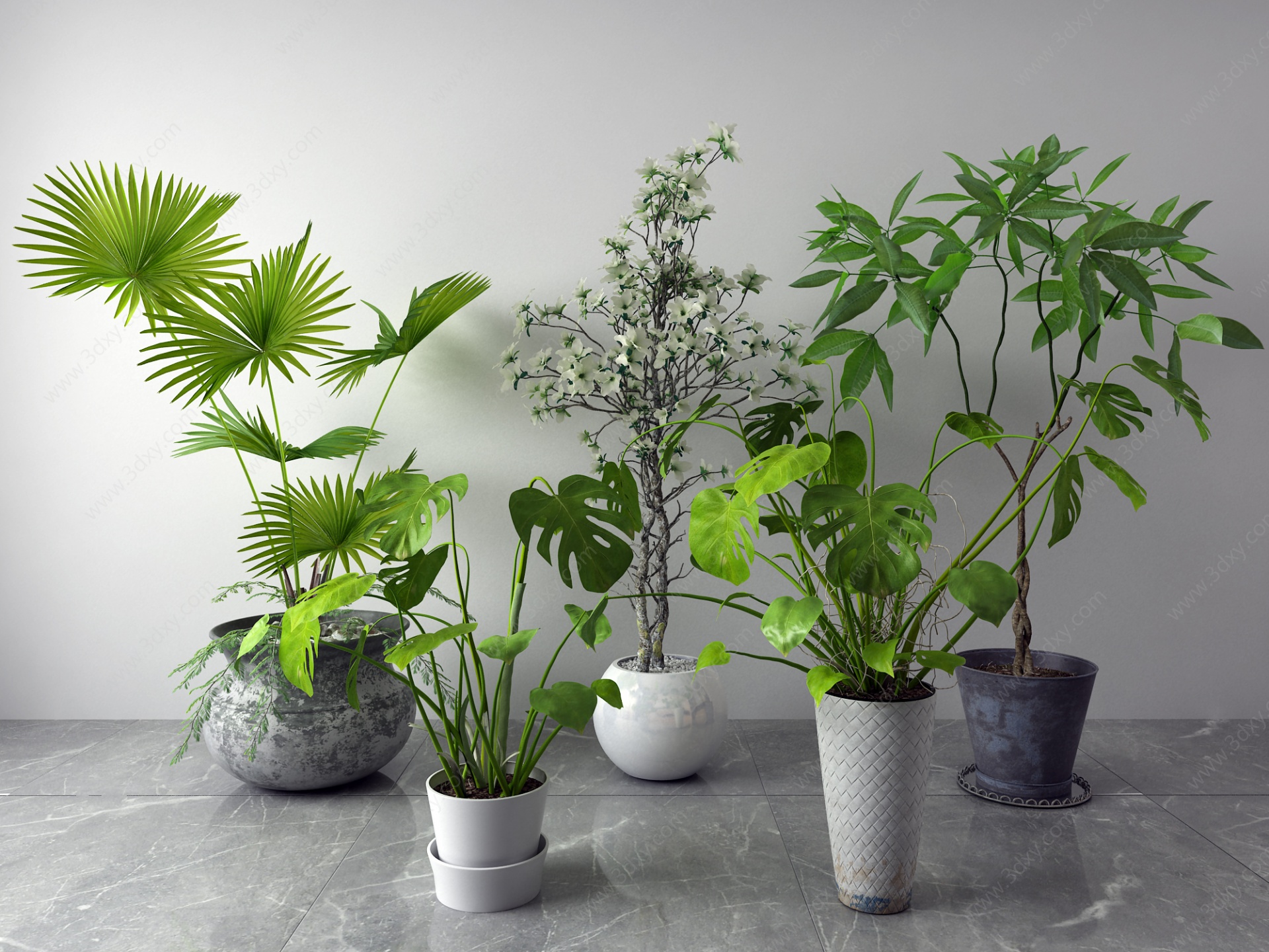 现代盆栽绿植3D模型
