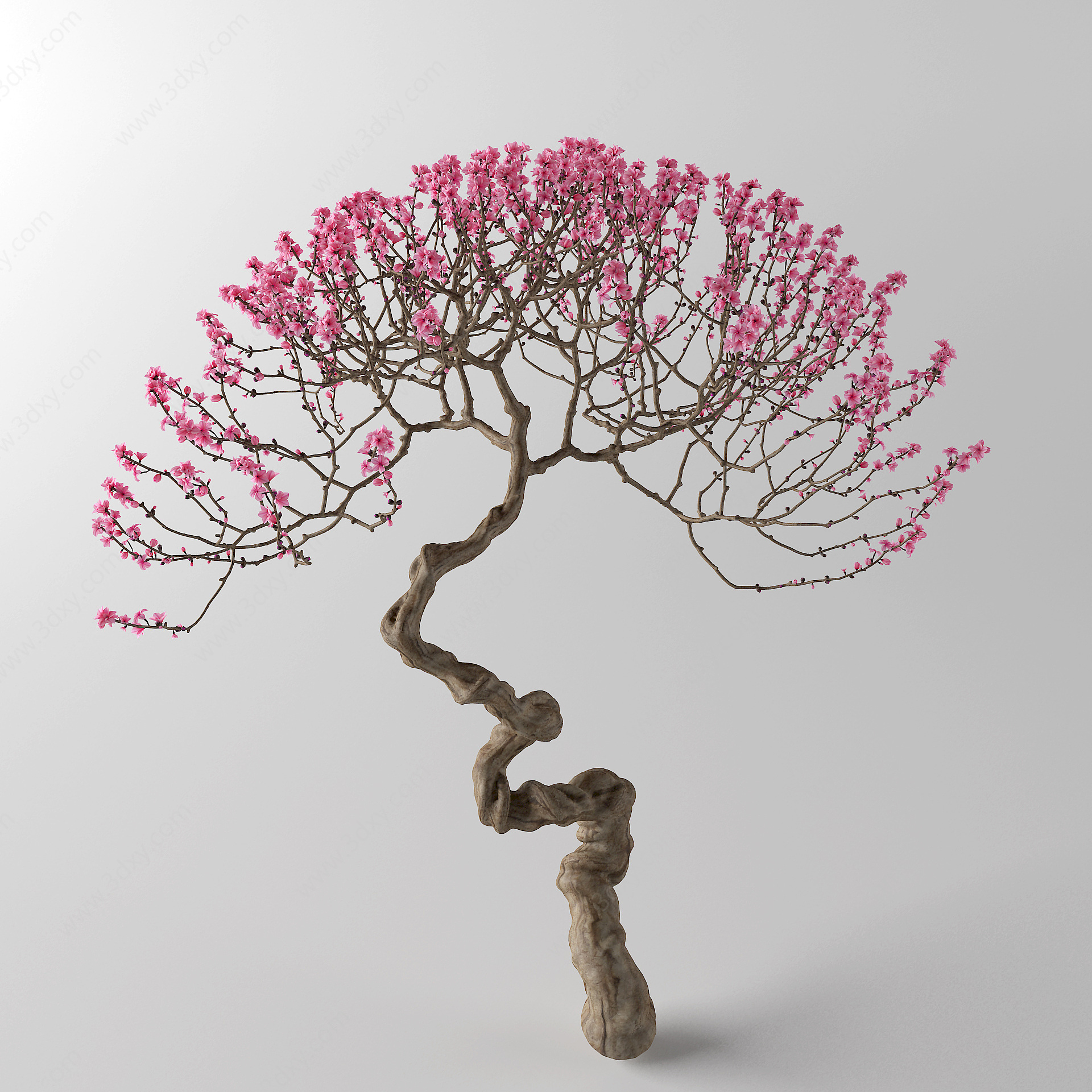 中式梅花树3D模型