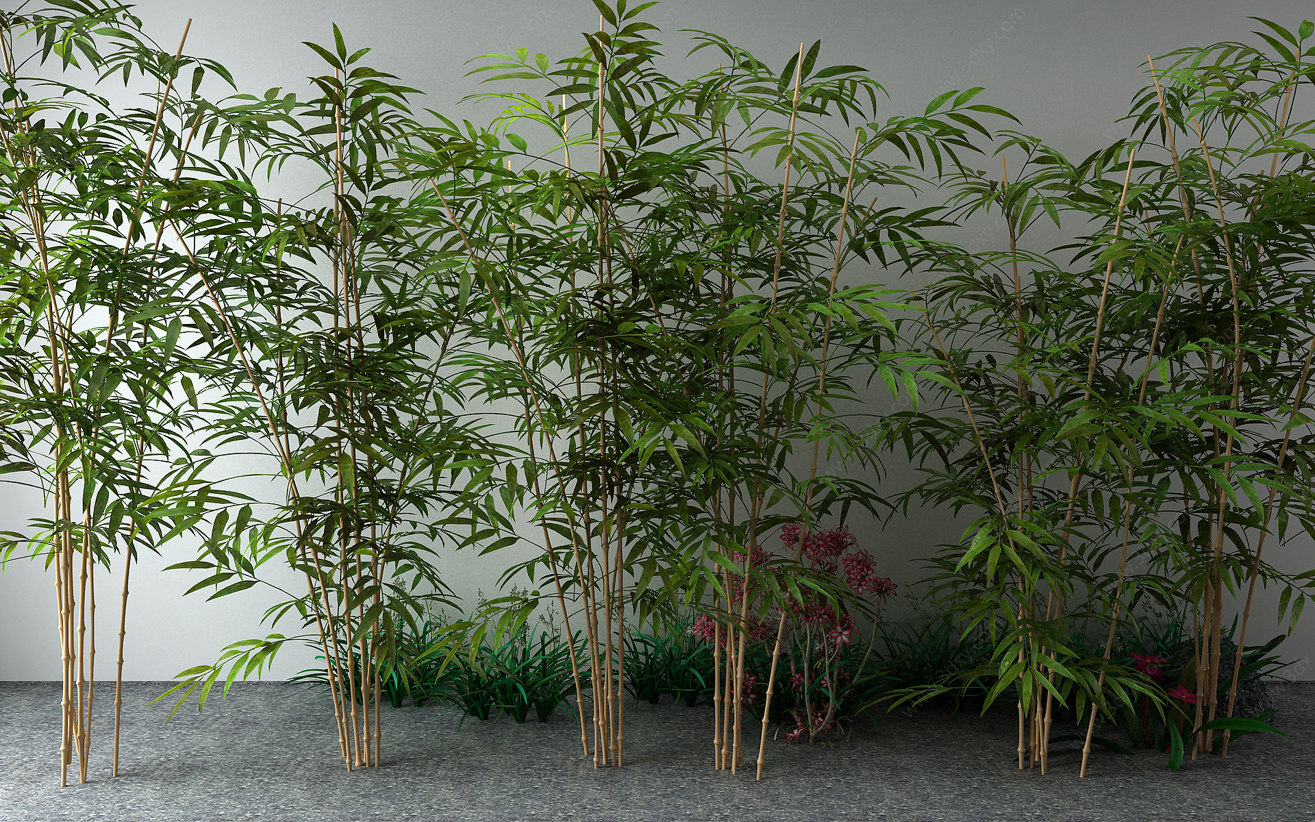 新中式竹子草3D模型