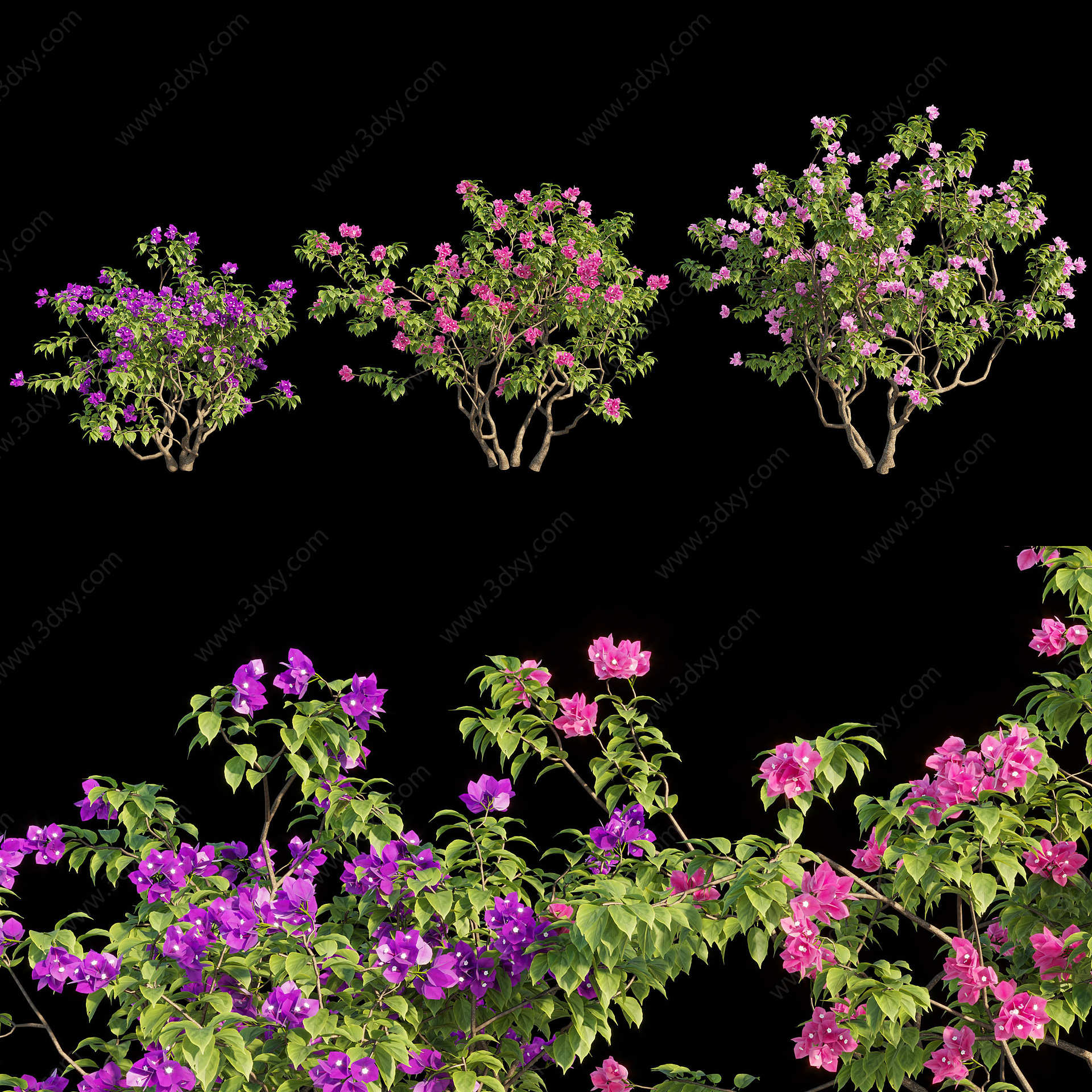 现代植物花丛3D模型