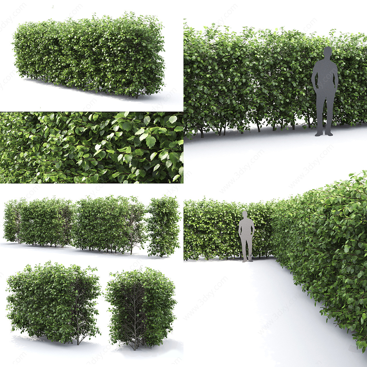 现代灌木绿篱3D模型