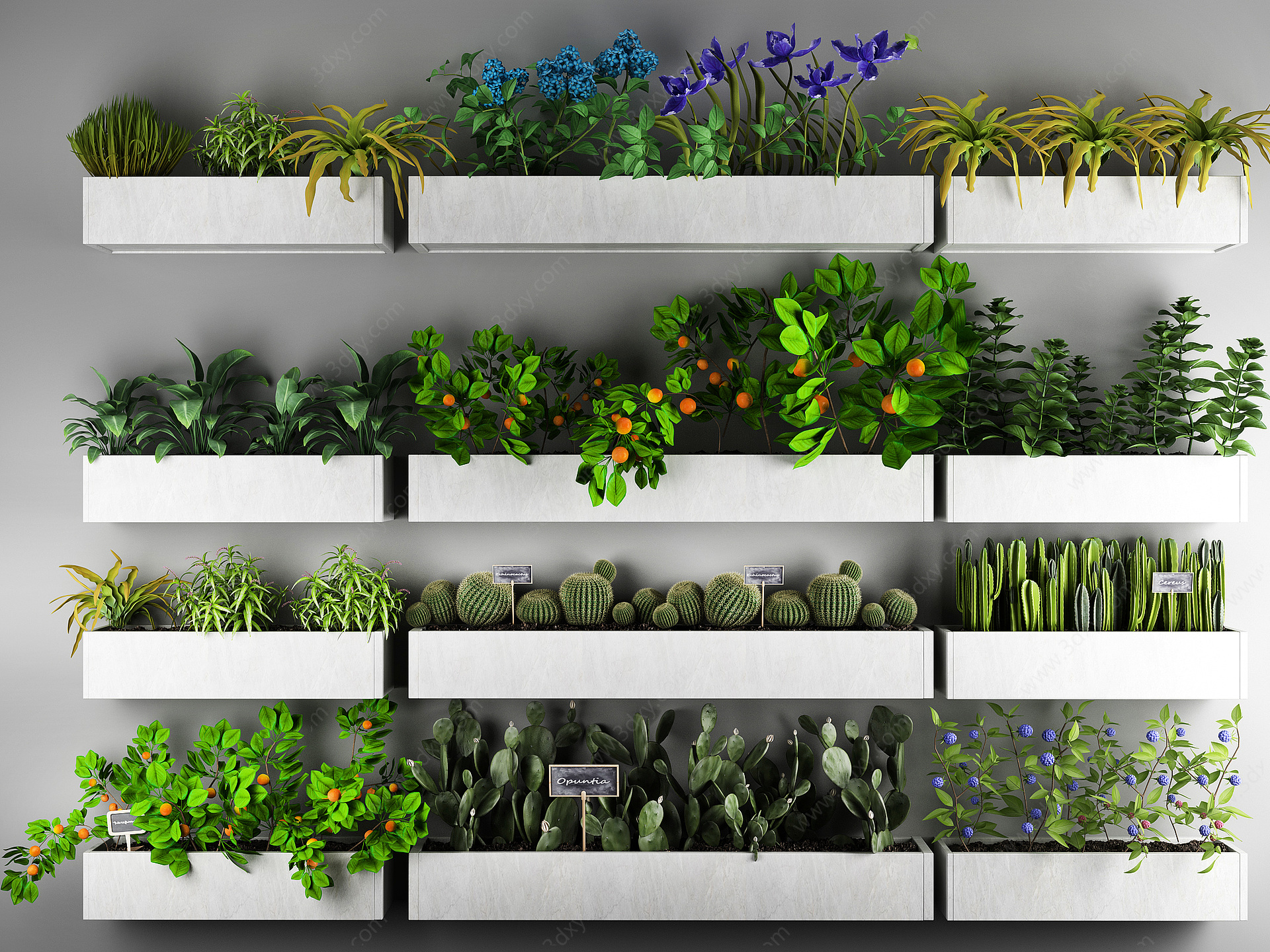 植物盆栽户外花草植物绿植3D模型