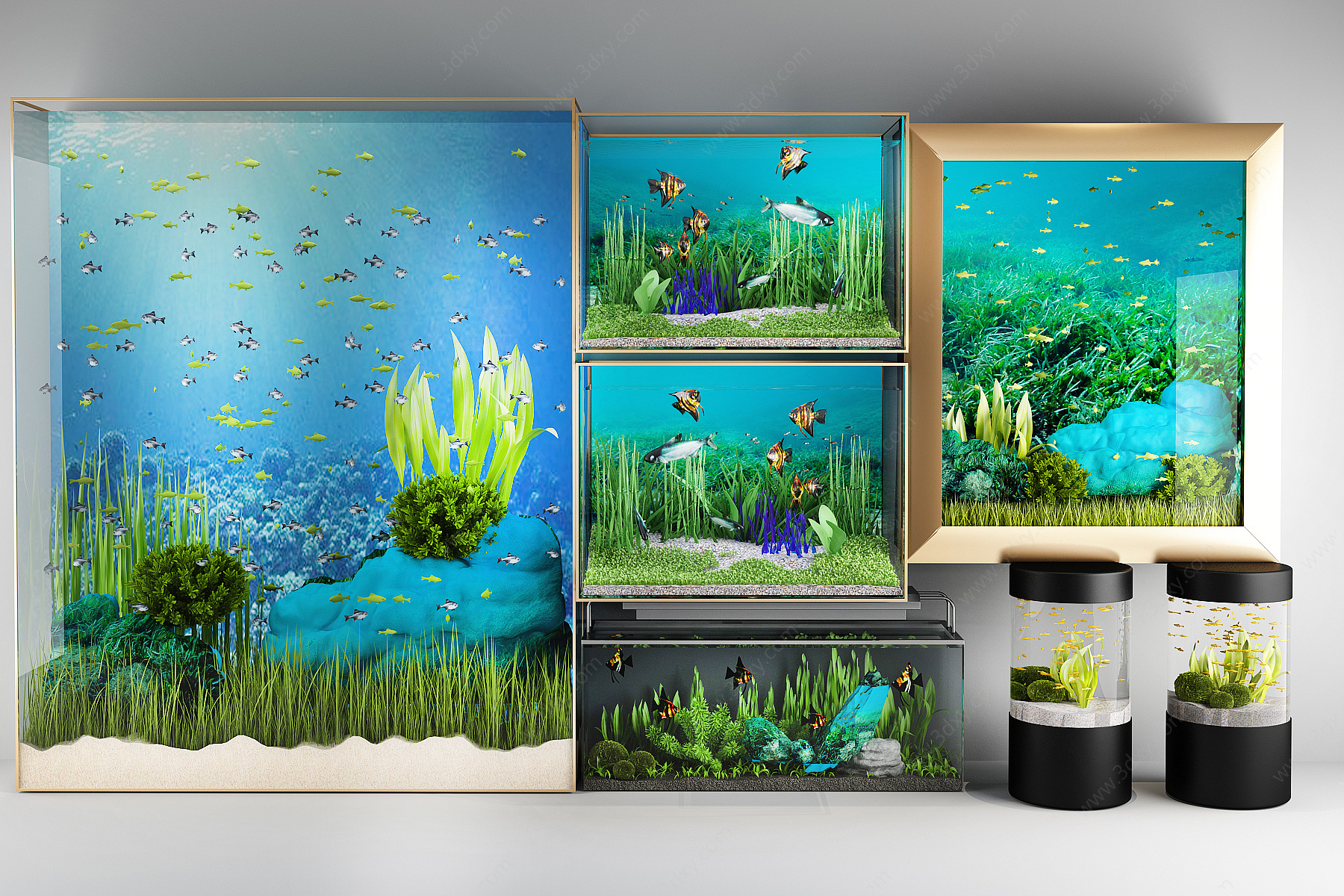 鱼缸水族馆海洋馆水草3D模型