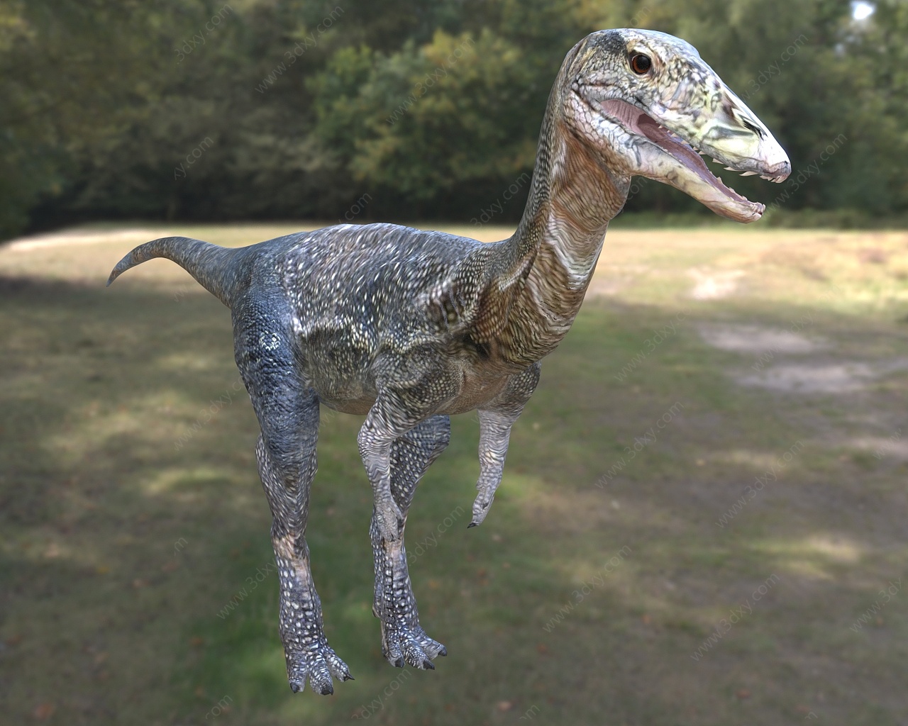 象鸟恐龙动物3D模型