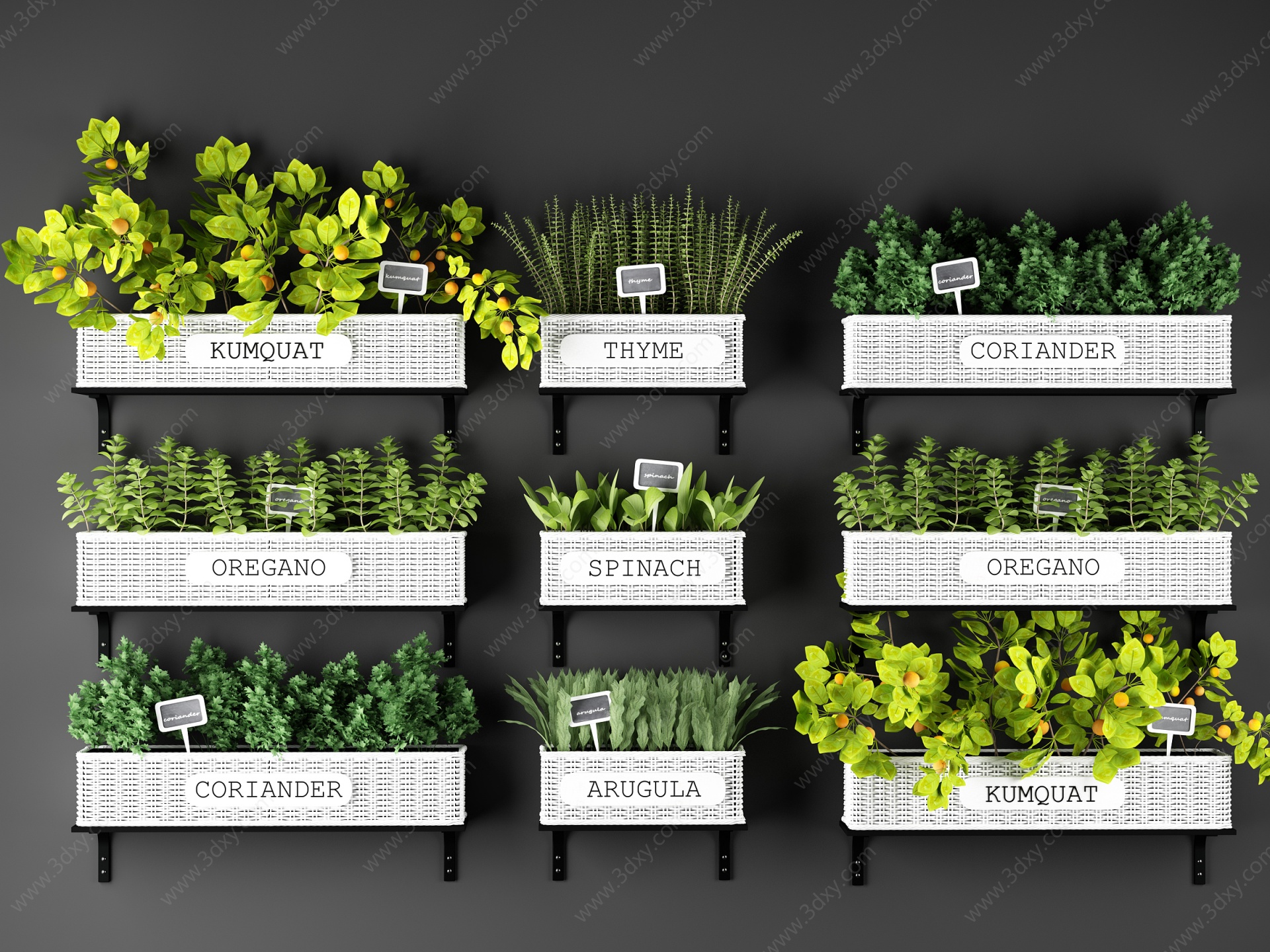 现代植物盆栽户外花草3D模型
