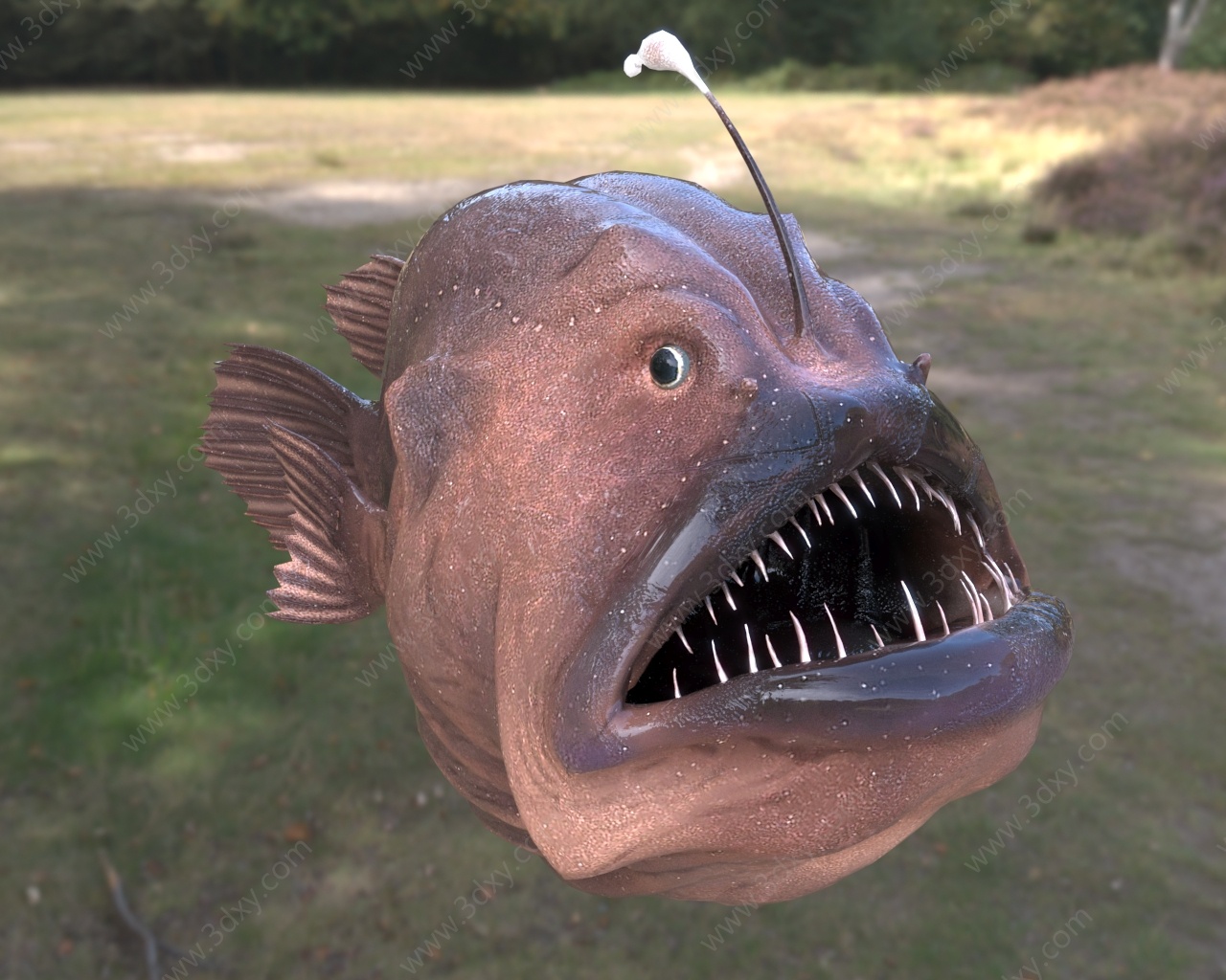 灯笼鱼足球鱼深海鱼类3D模型