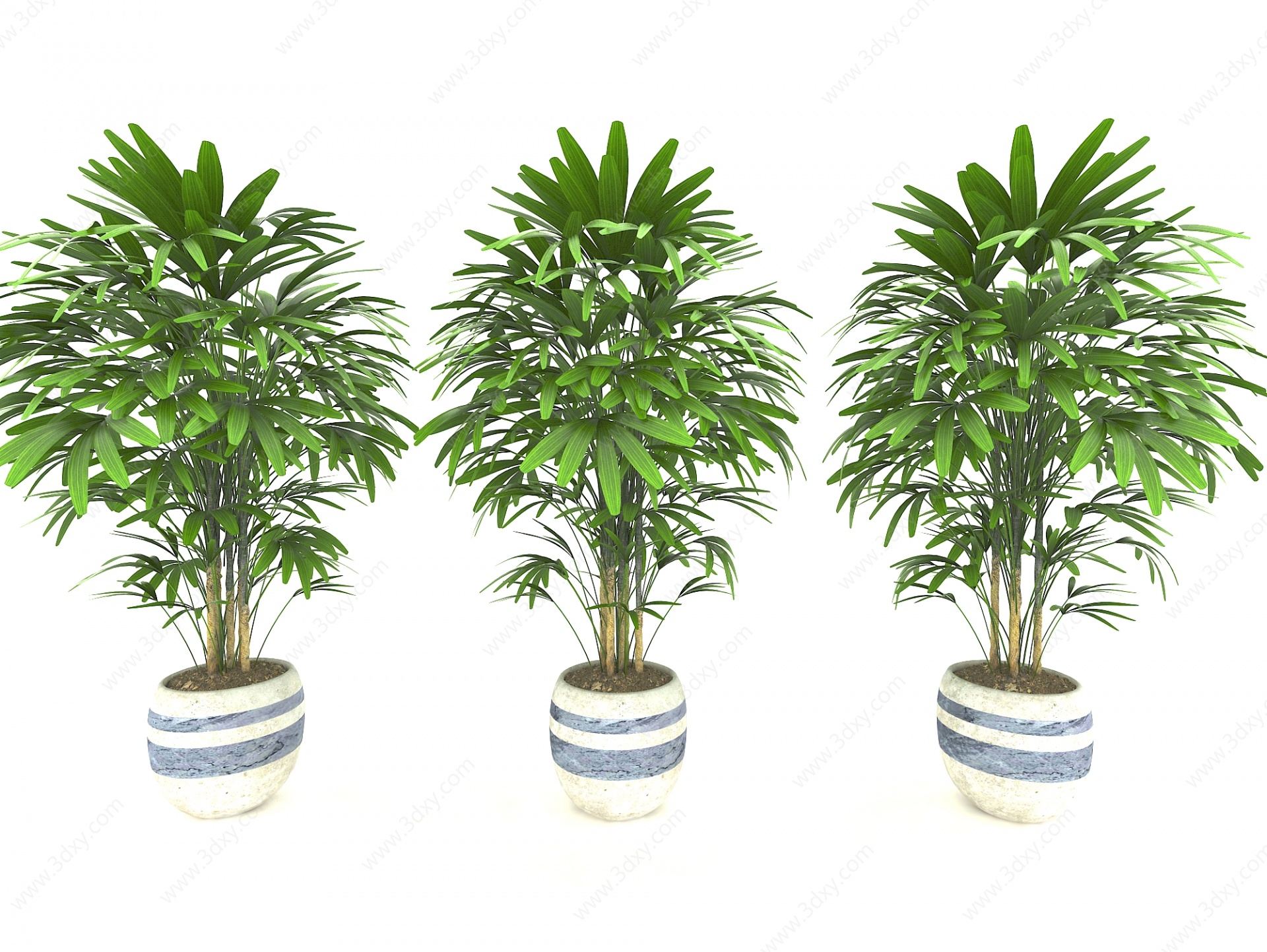 现代风格植物盆栽3D模型