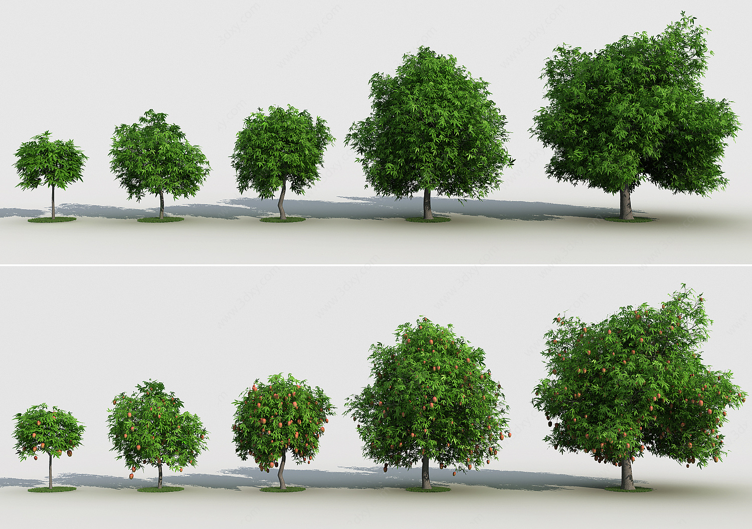 现代芒果树景观树3D模型