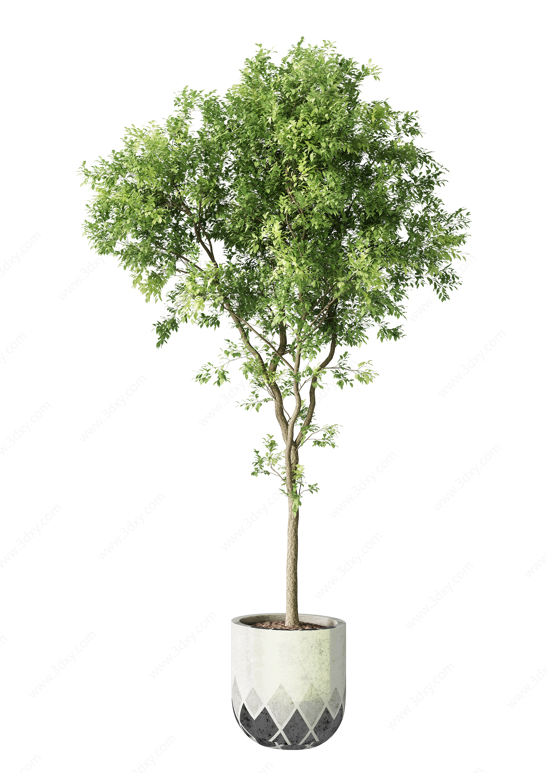 现代绿植盆栽组合3D模型