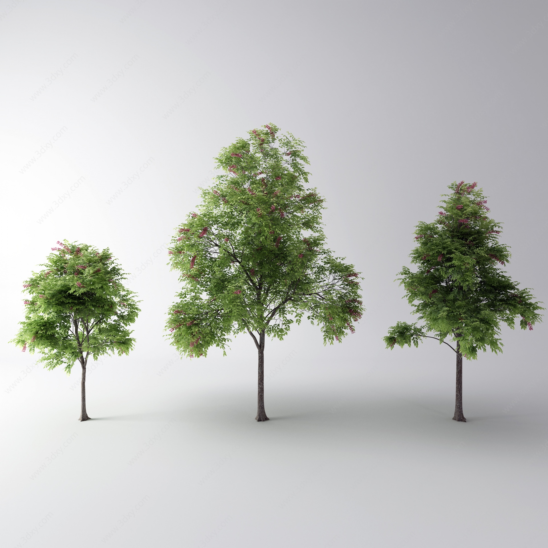 现代树景观树3D模型