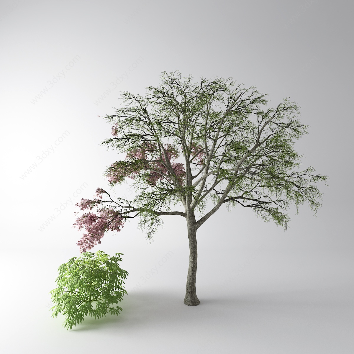 现代树灌木3D模型