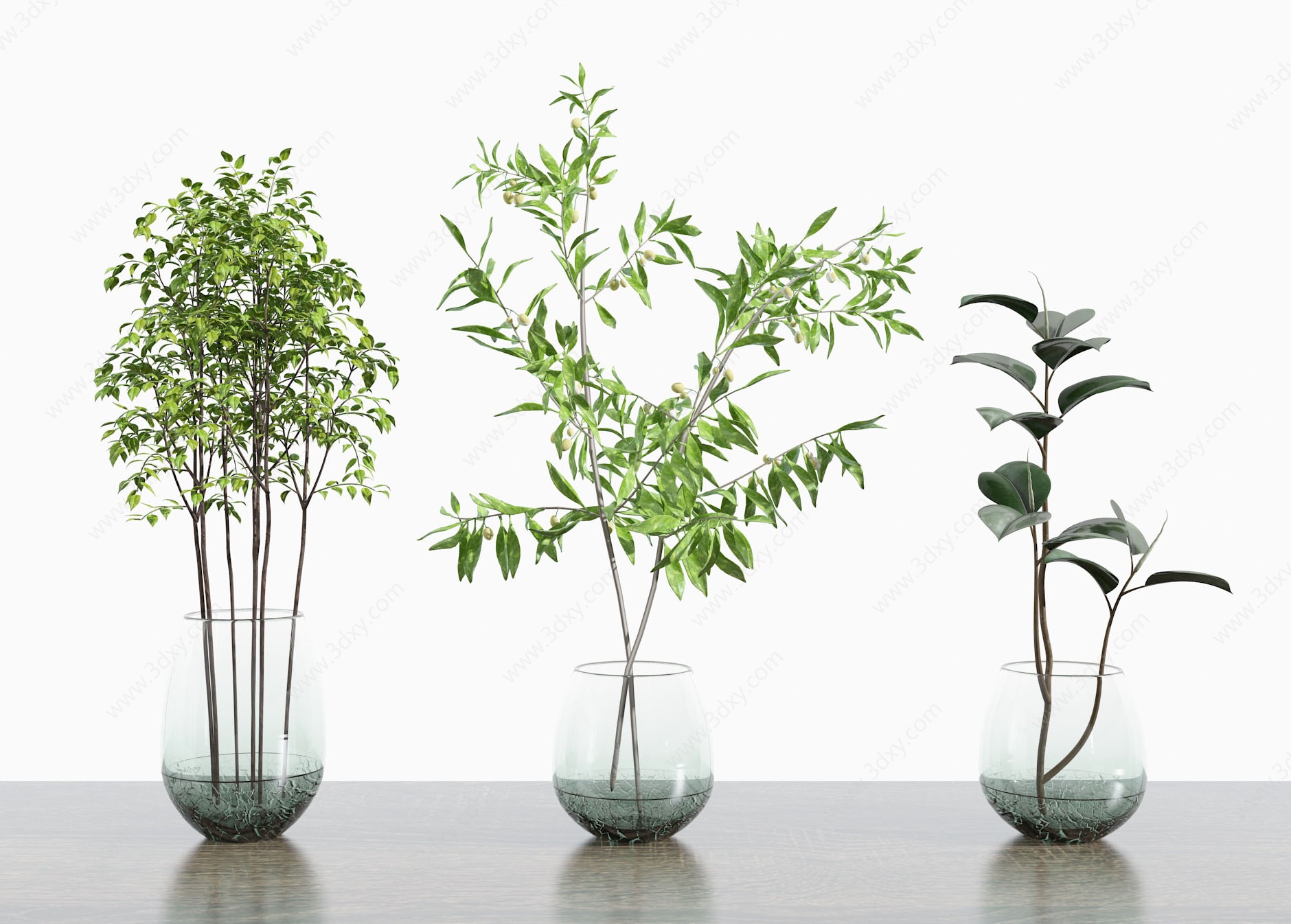 现代风格花卉花瓶绿植3D模型