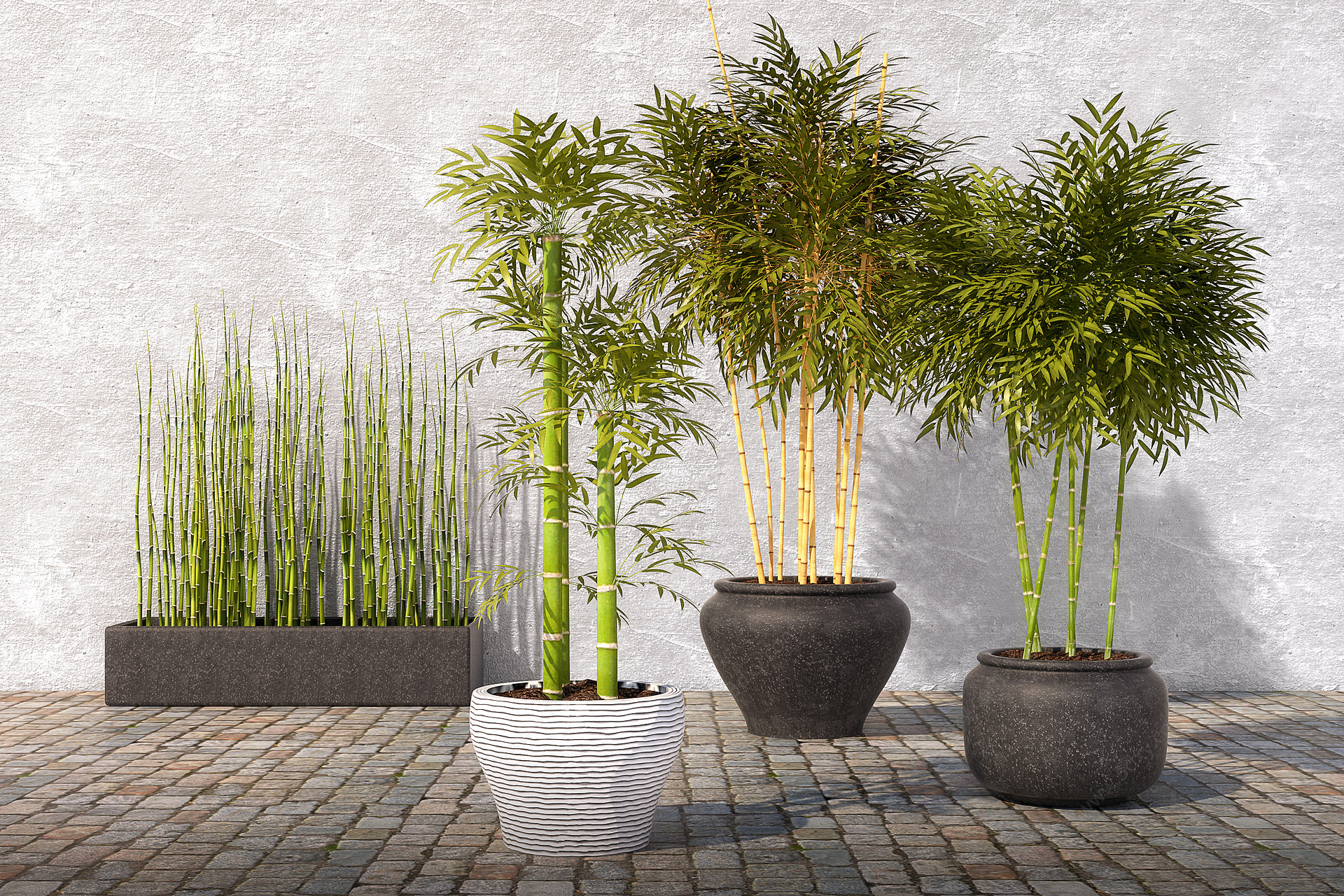 现代景观植物竹子3D模型