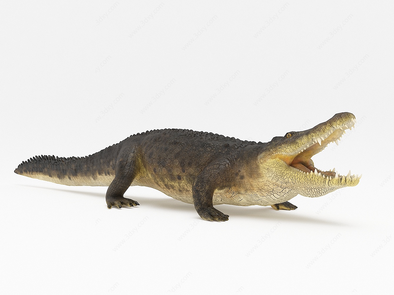 现代鳄鱼3D模型