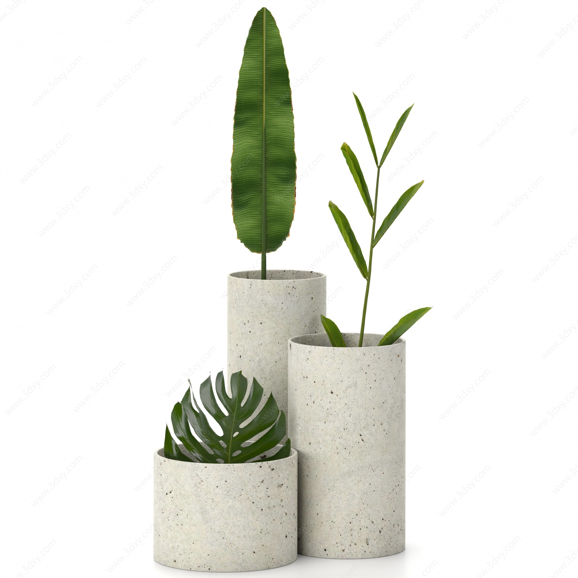 室内植物绿植盆栽组合3D模型