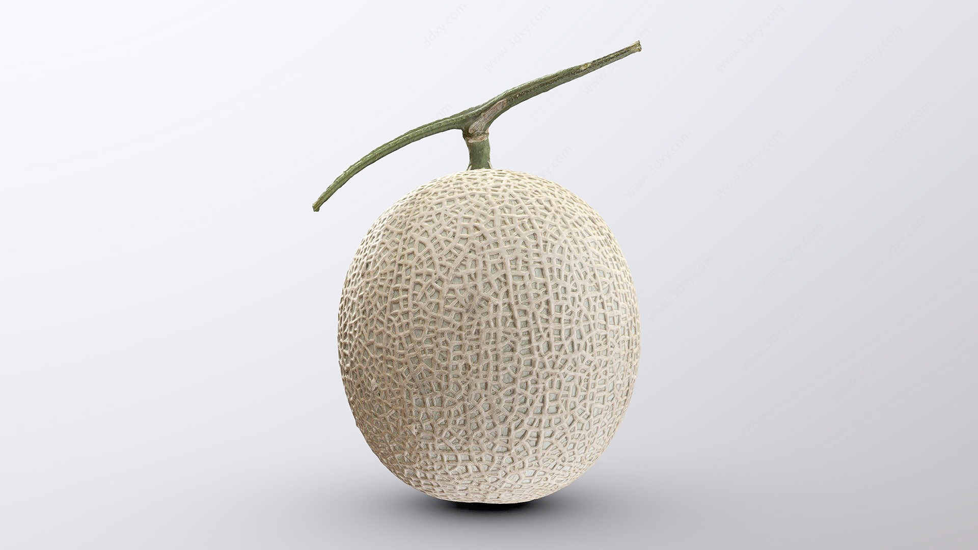 水果哈密瓜3D模型