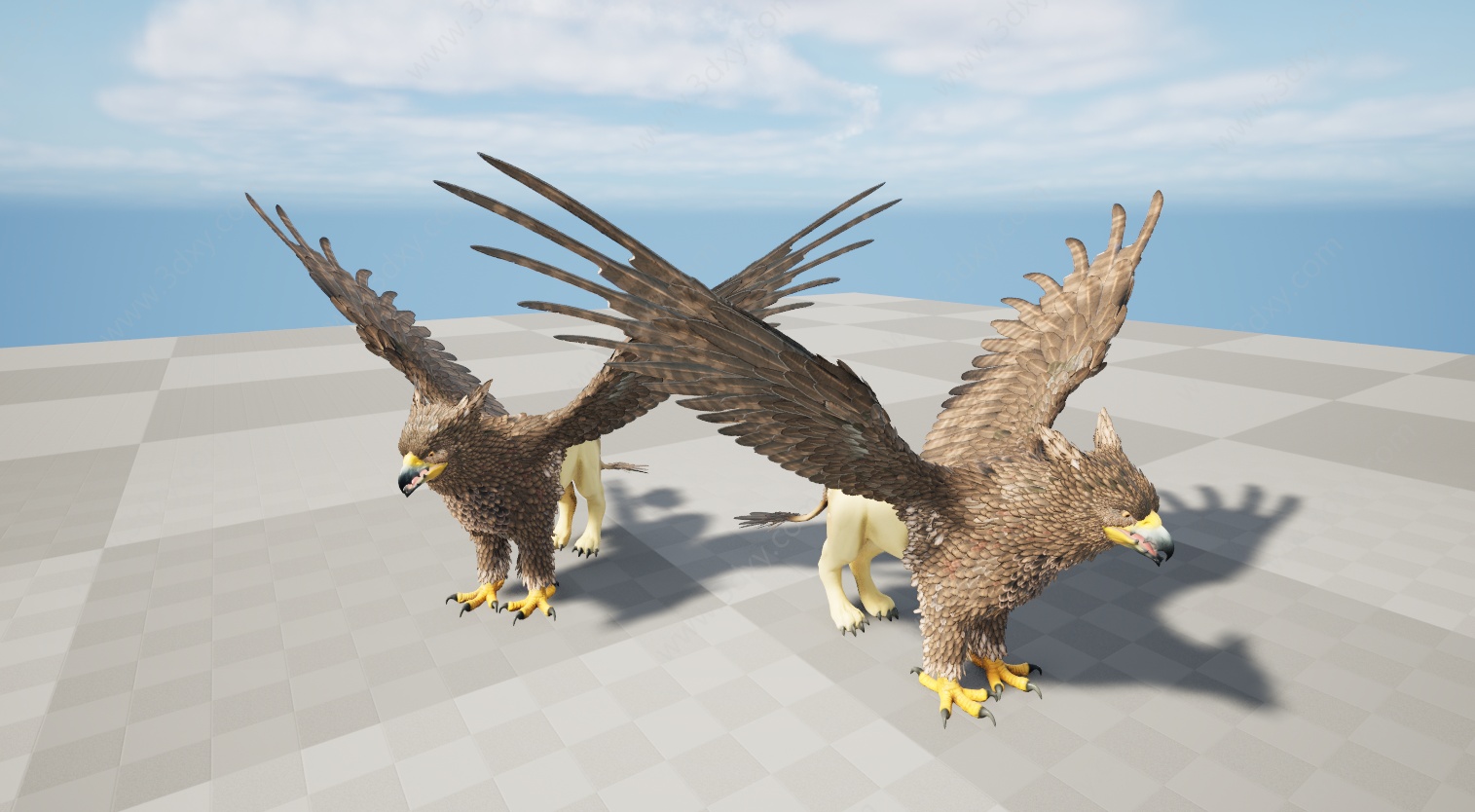 野生动物老鹰3D模型