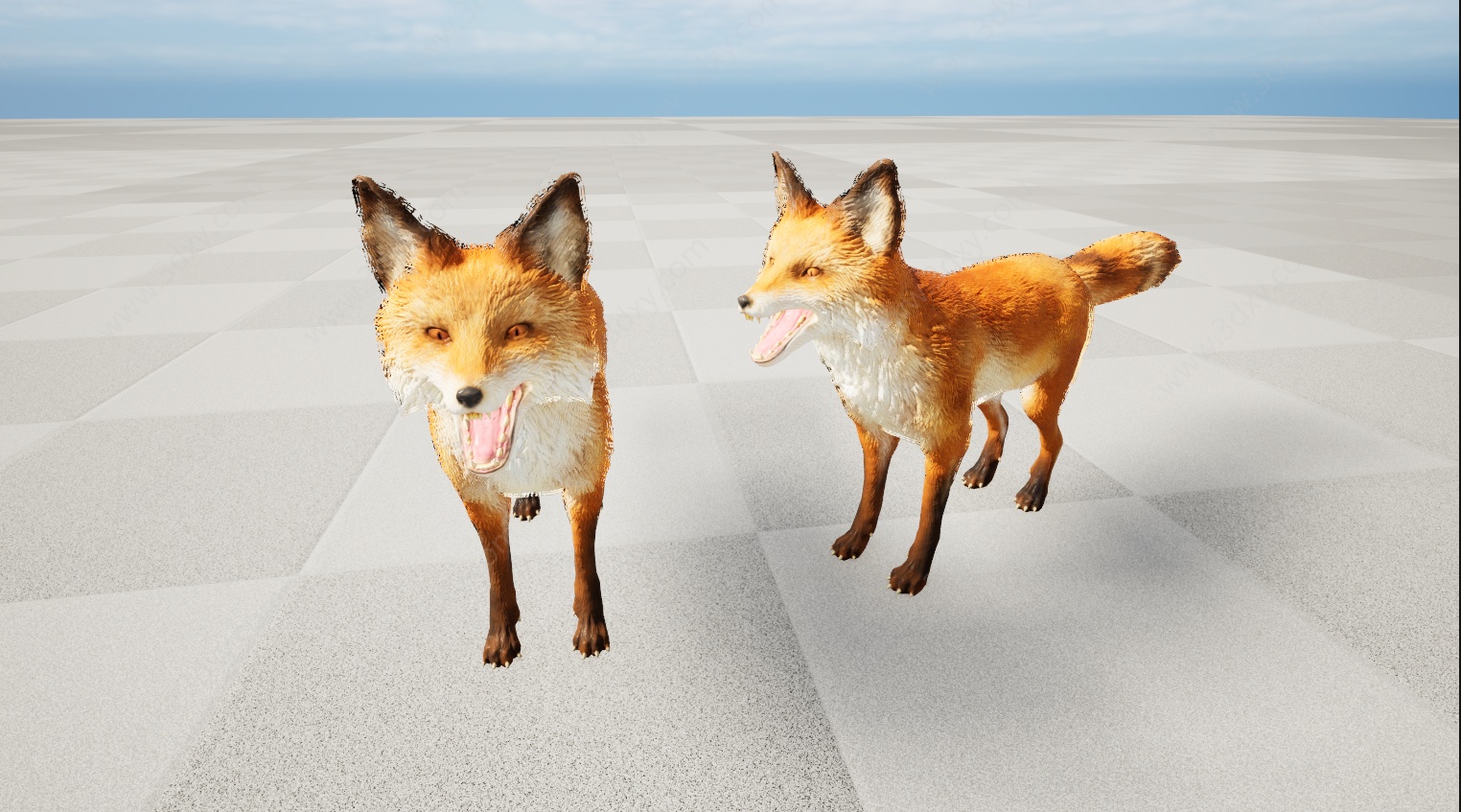 野生动物狐狸3D模型