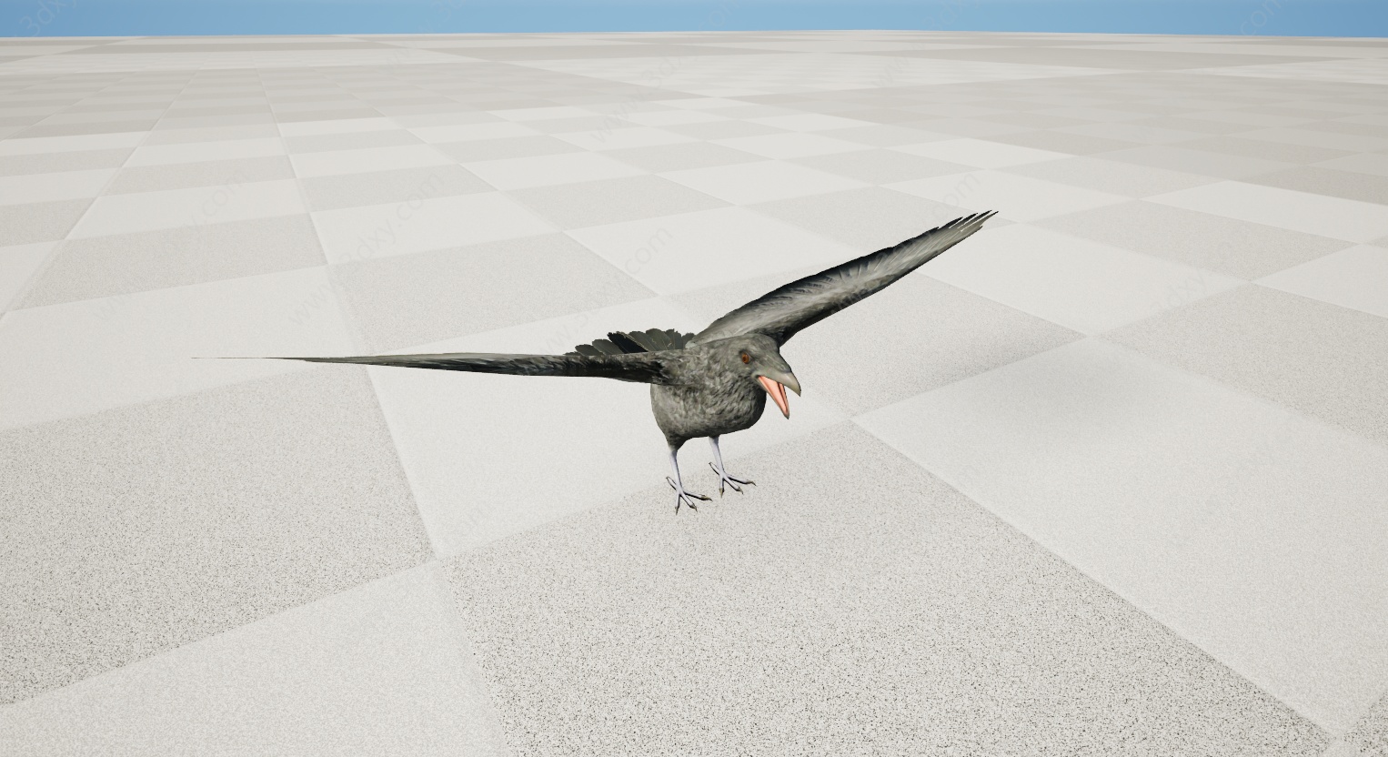 野生动物鹦鹉鸟乌鸦3D模型