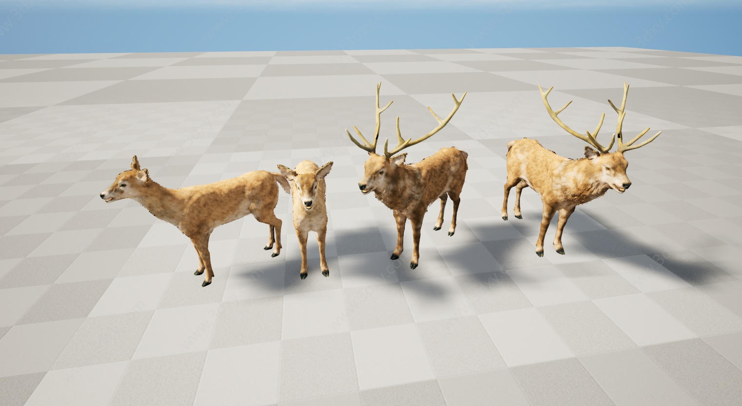 野生动物鹿3D模型