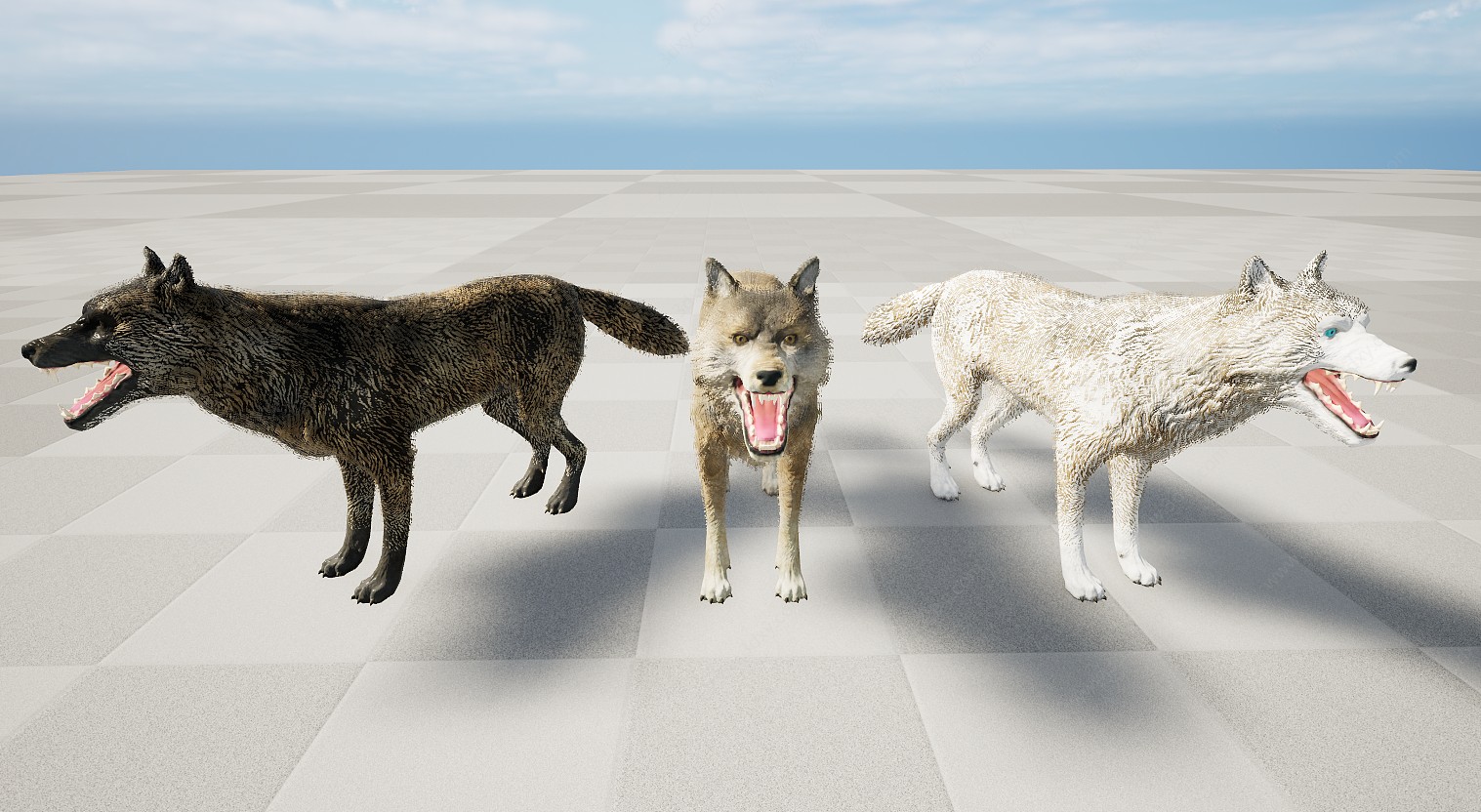 野生深林肉食动物狼3D模型