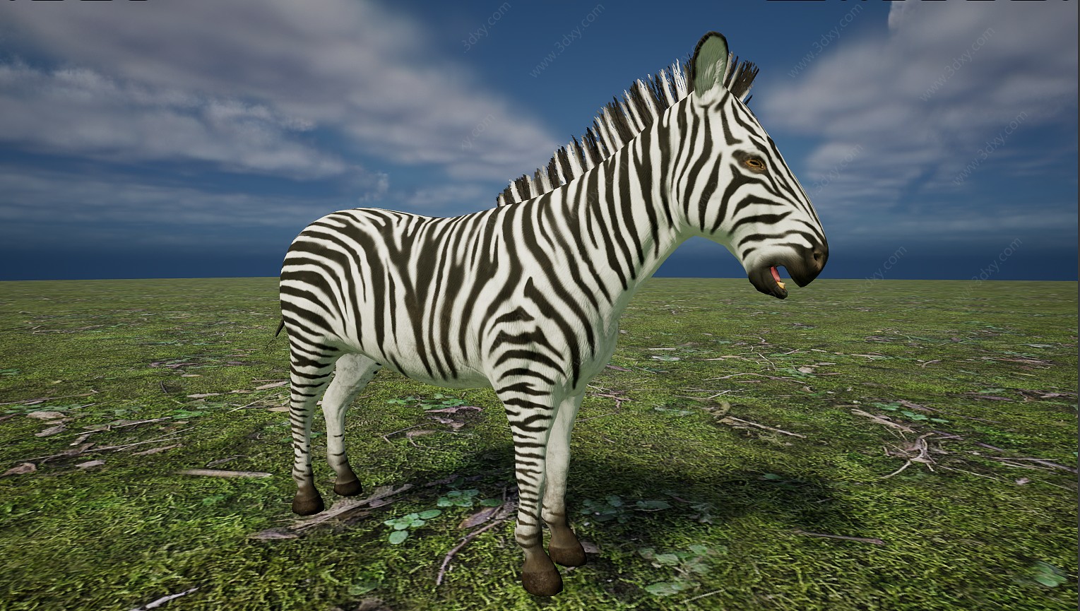 野生非洲草原素食动物斑马3D模型