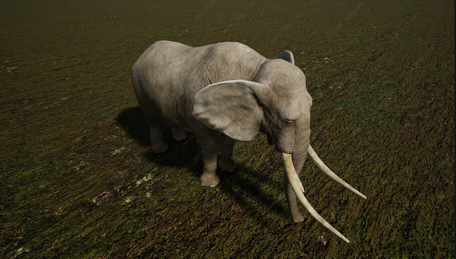 野生非洲草原哺乳大象3D模型
