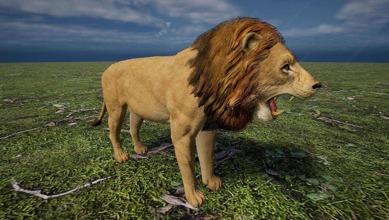 野生非洲草原肉食动物狮子3D模型