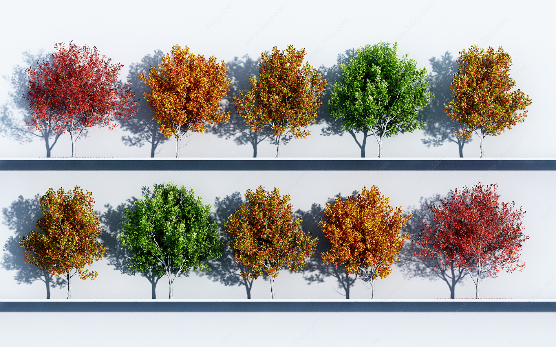 植物绿植树木组合3D模型