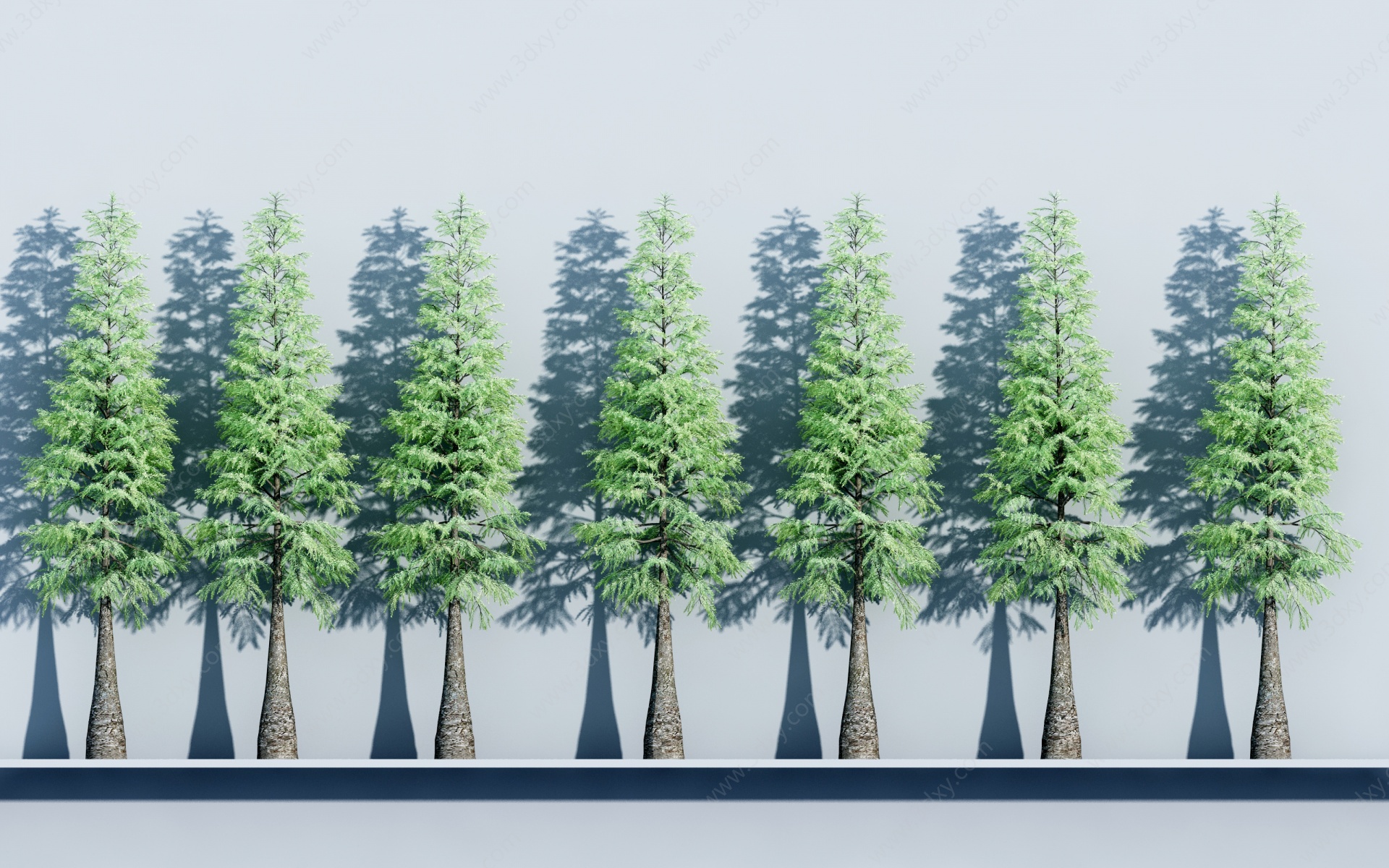 植物树木杉树3D模型