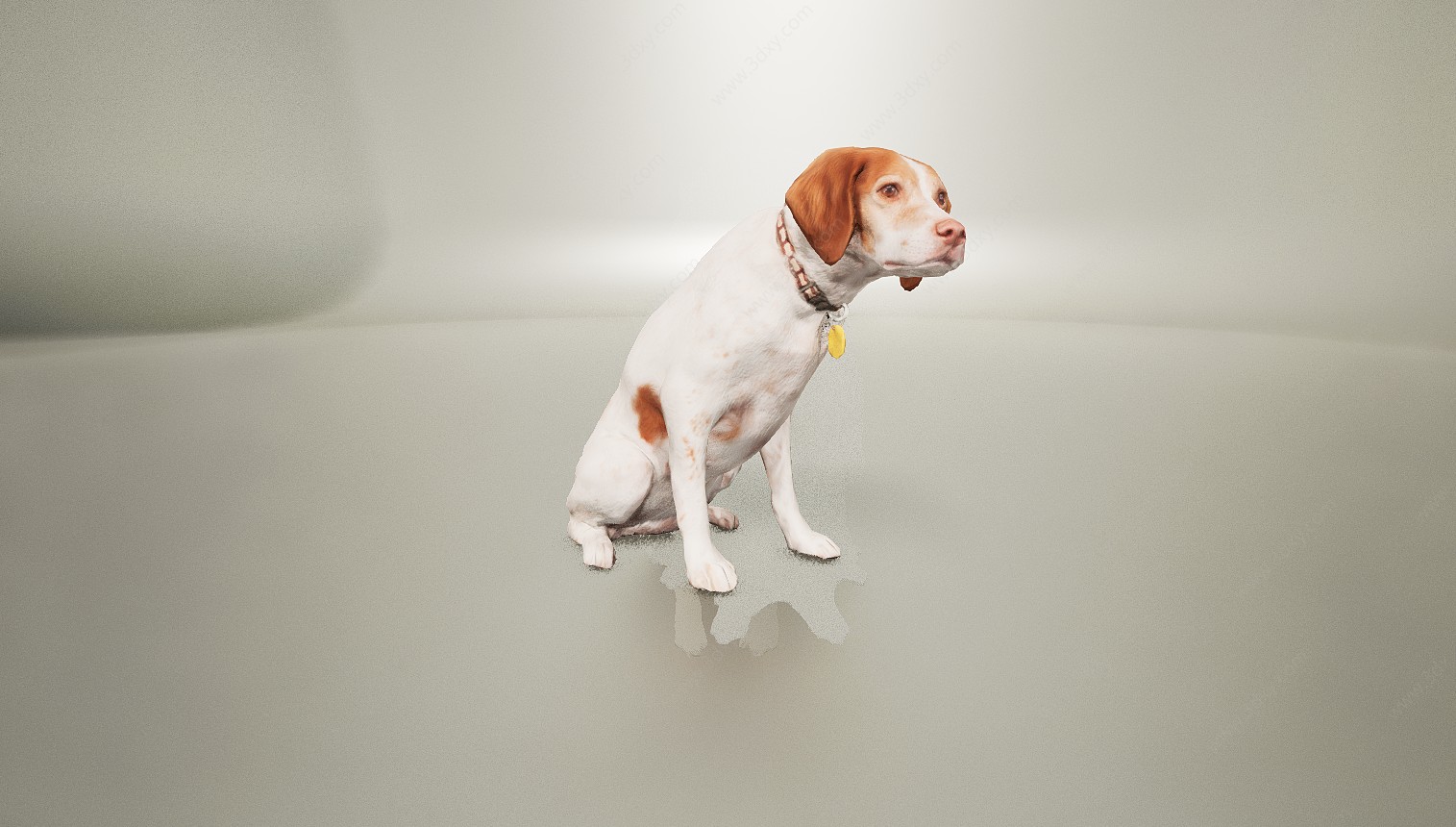 动物犬类狗狗3D模型