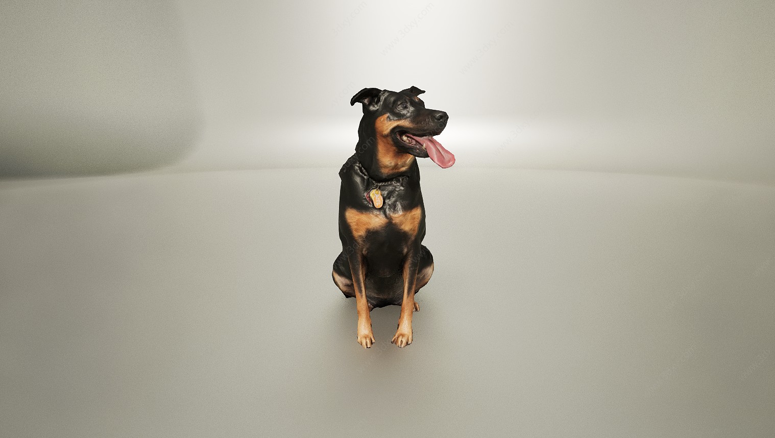 动物宠物犬类狗狗3D模型