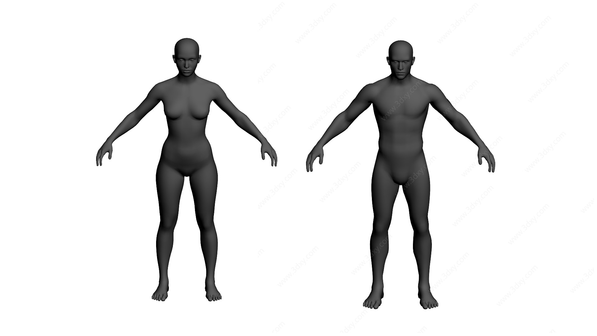 写实男女裸模3D模型
