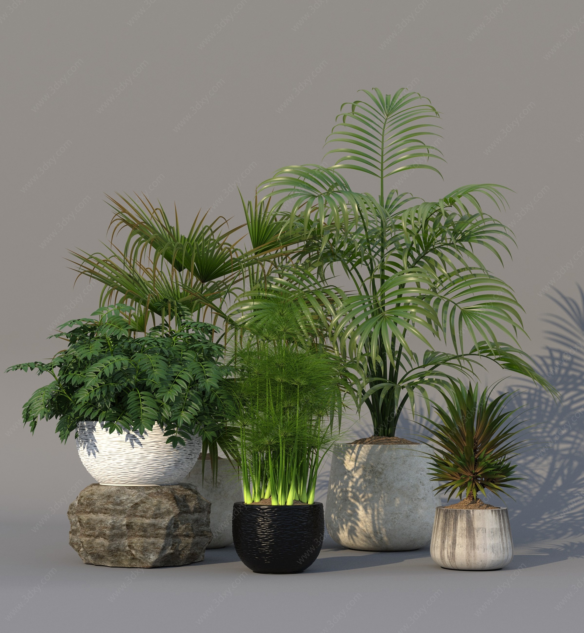 植物绿植盆栽组合3D模型