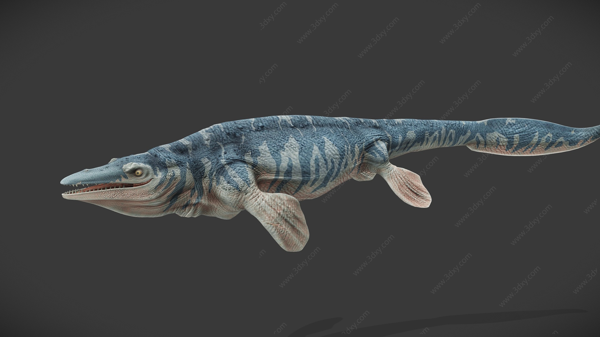 海洋动物远古生物水生物3D模型