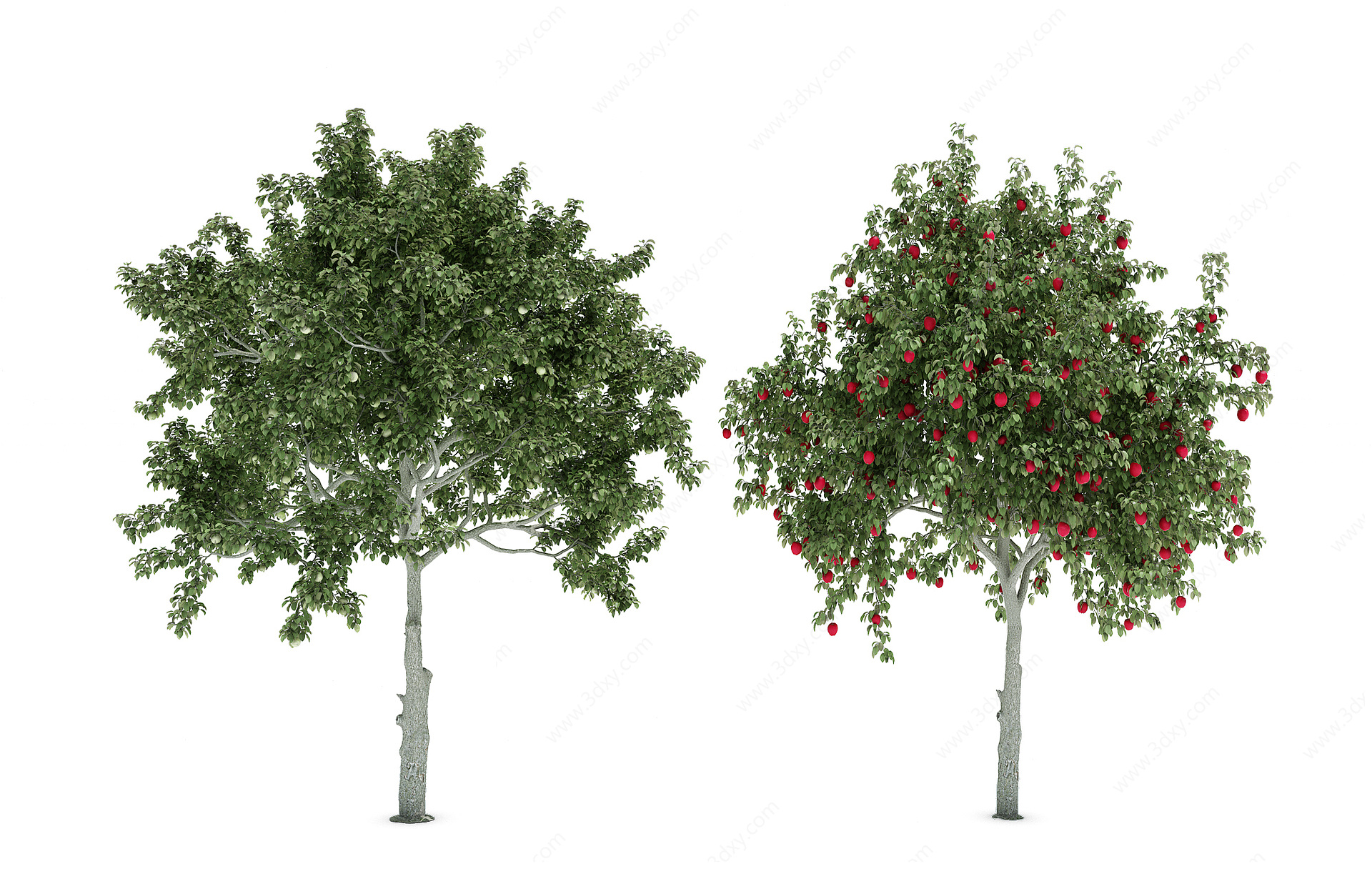 园林景观植物树3D模型
