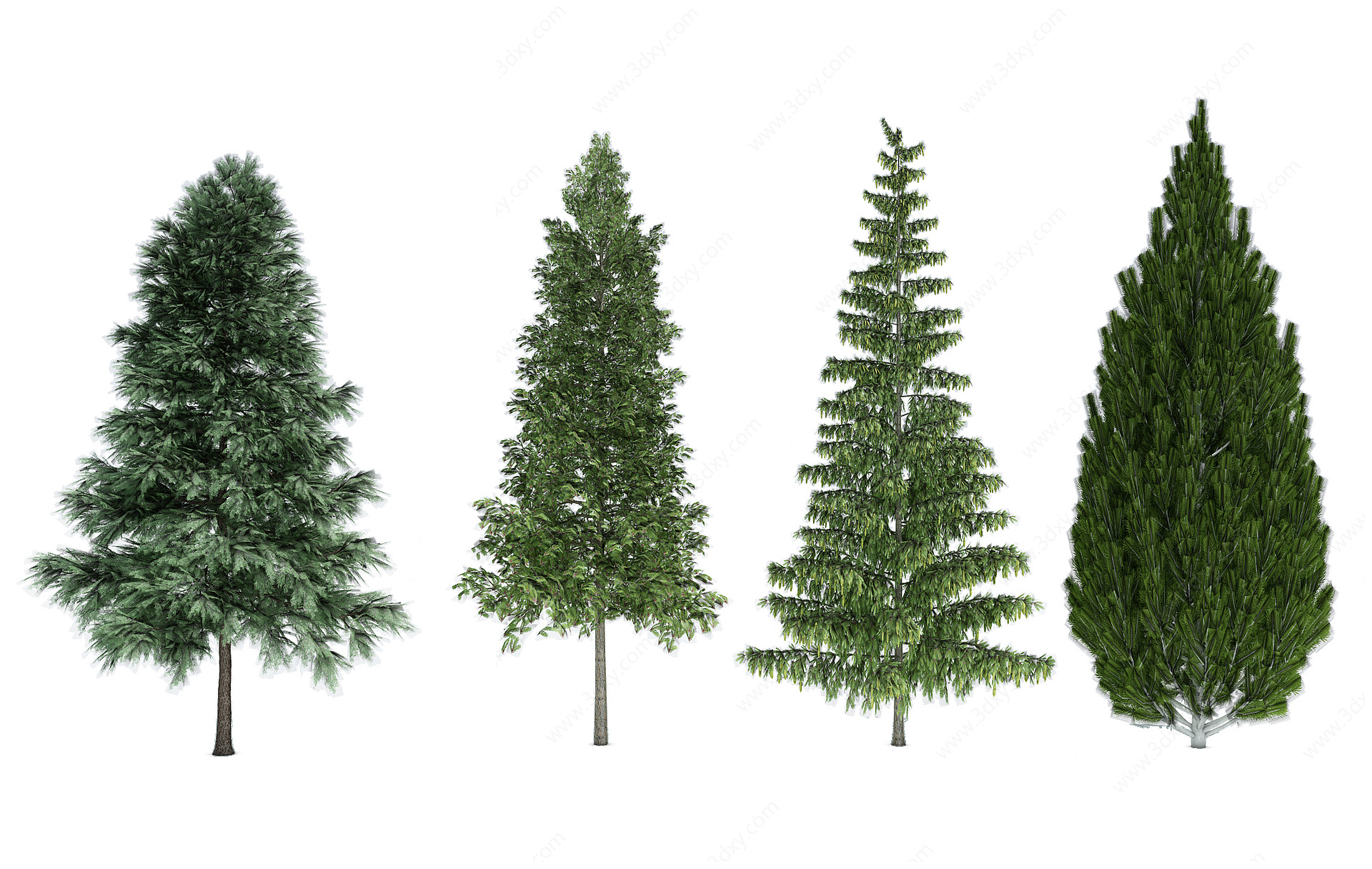 植物树3D模型