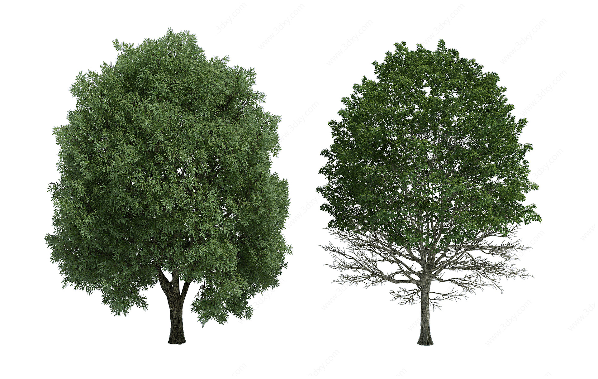 植物树木大树3D模型